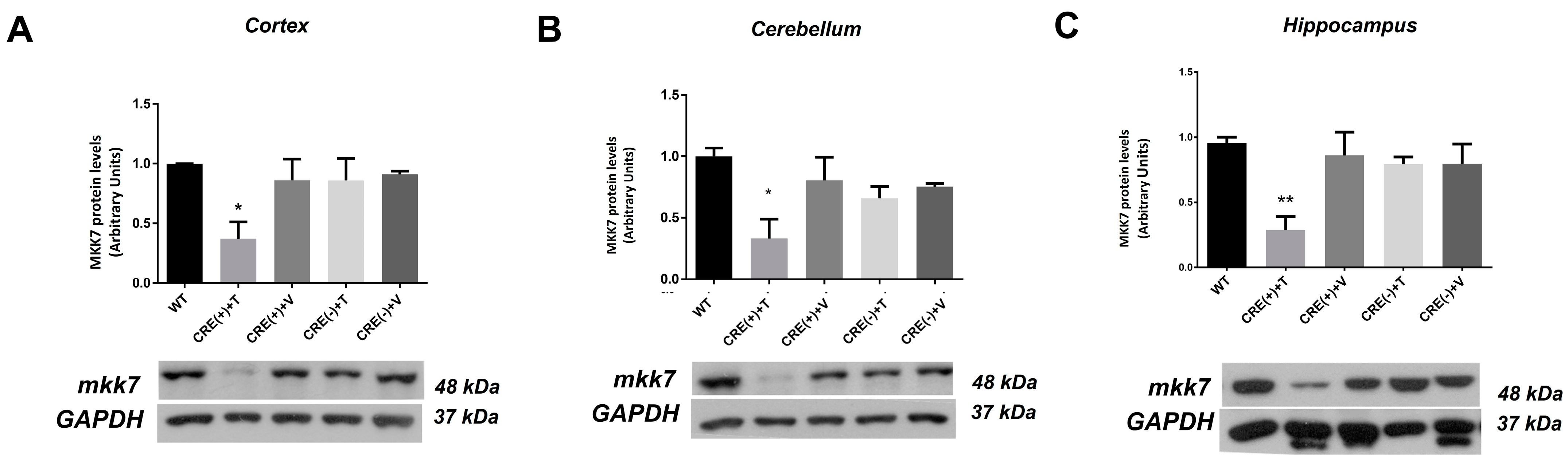Ijms 22 09545 g004 550