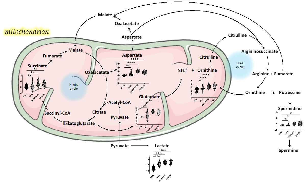 Ijms 22 09548 g006 550