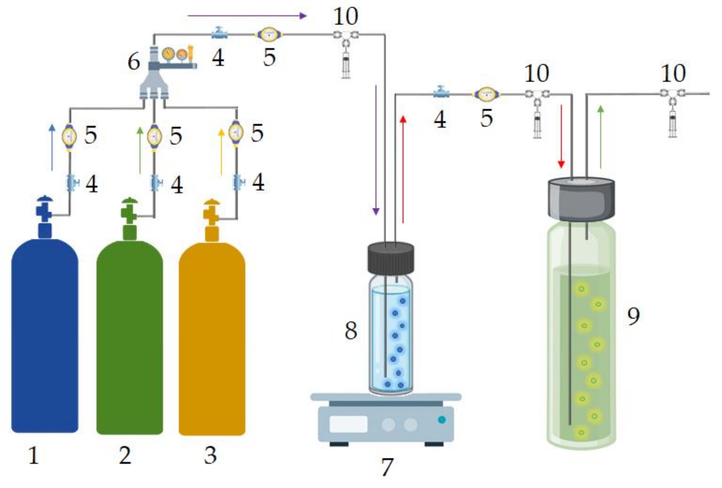 Ijms 22 09551 g019 550