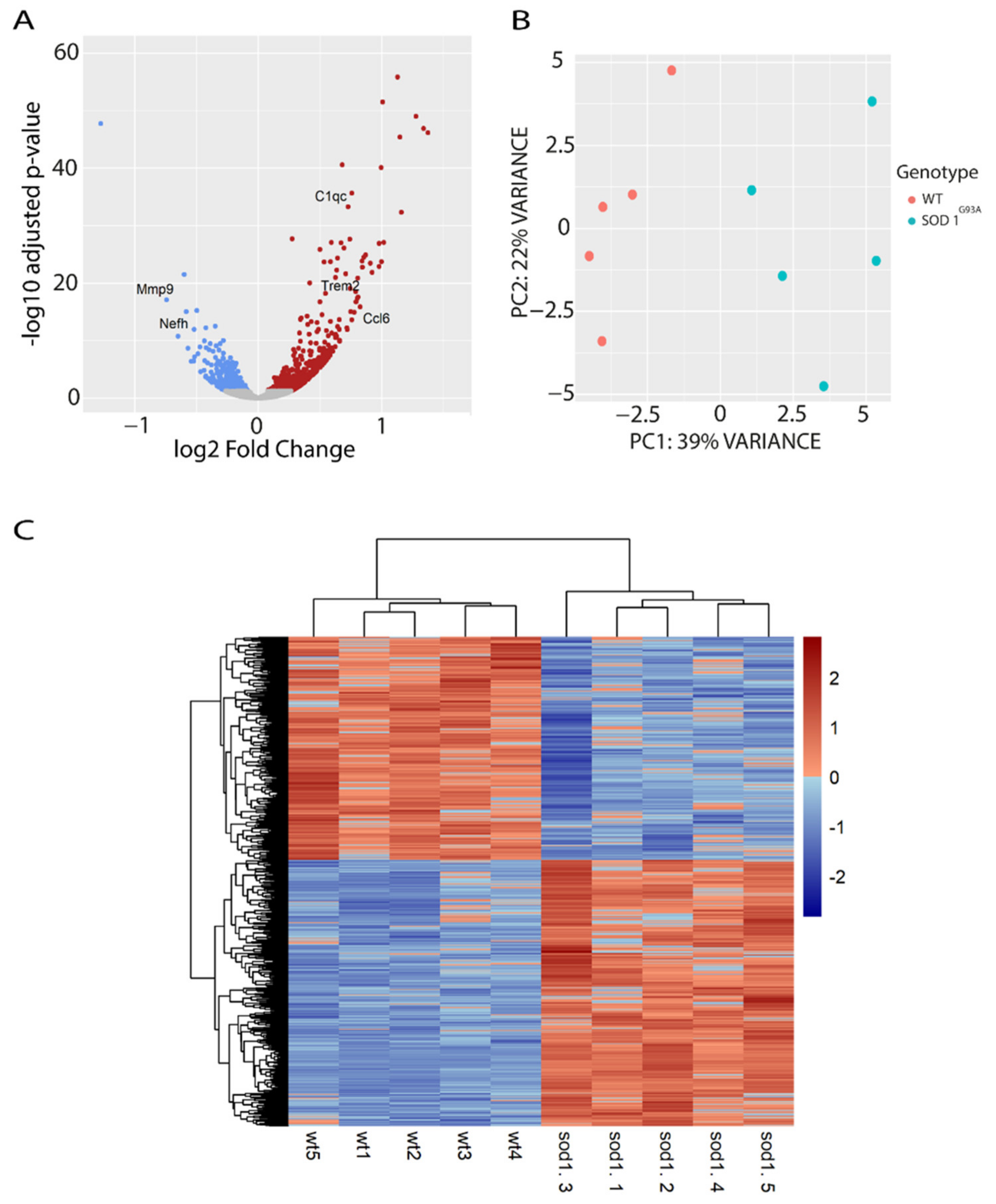 Ijms 22 09553 g001 550