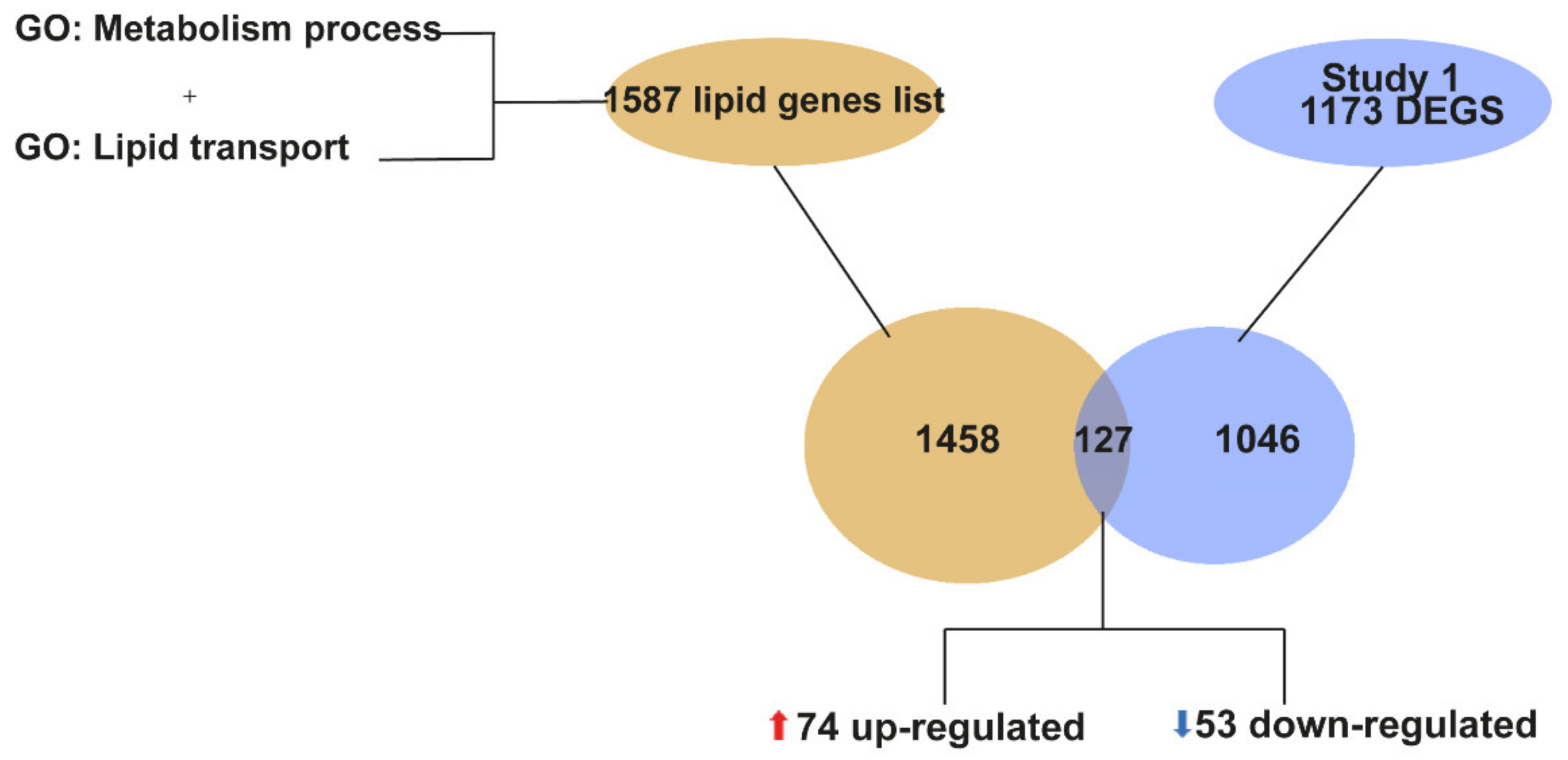 Ijms 22 09553 g002 550