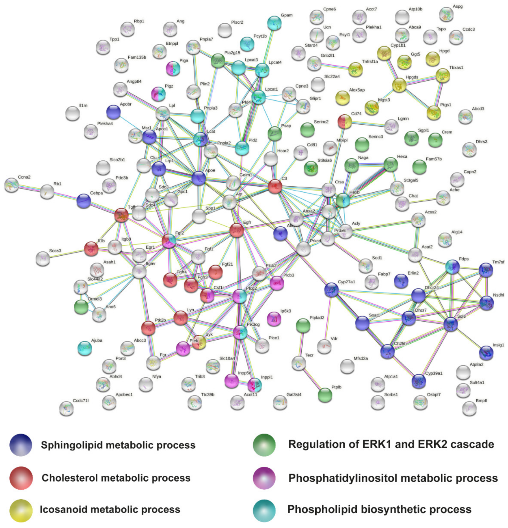 Ijms 22 09553 g005 550