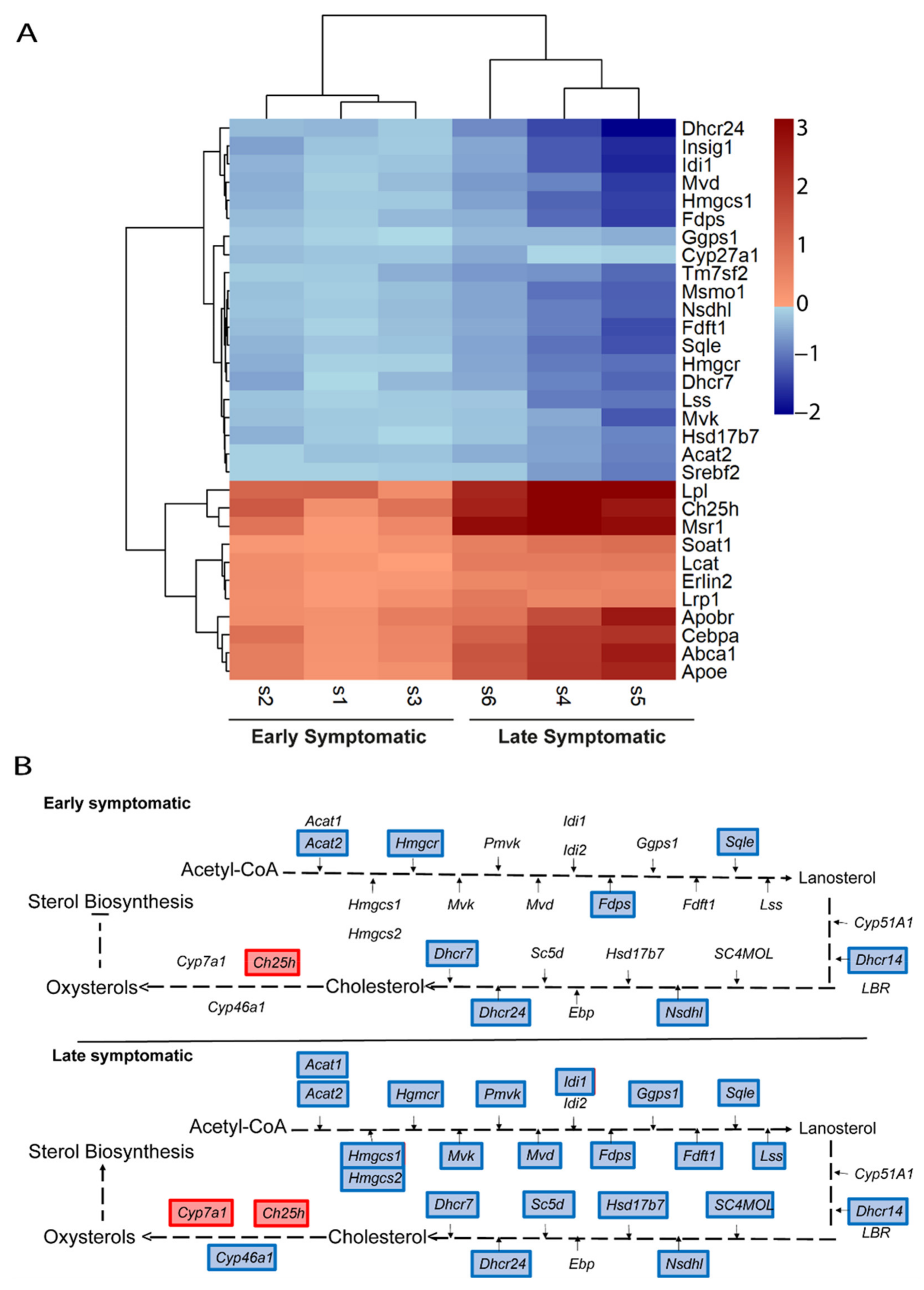 Ijms 22 09553 g006 550