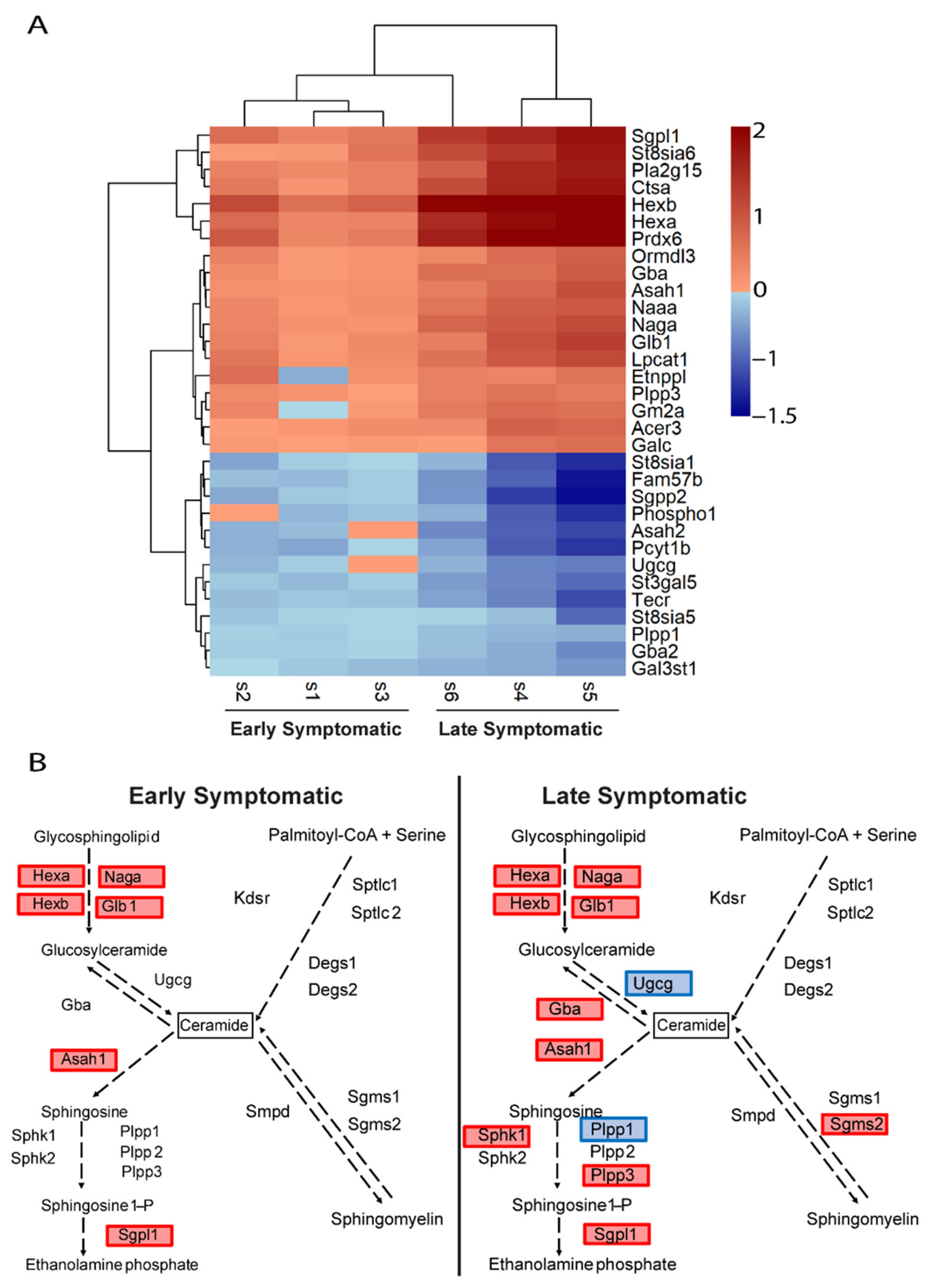 Ijms 22 09553 g007 550