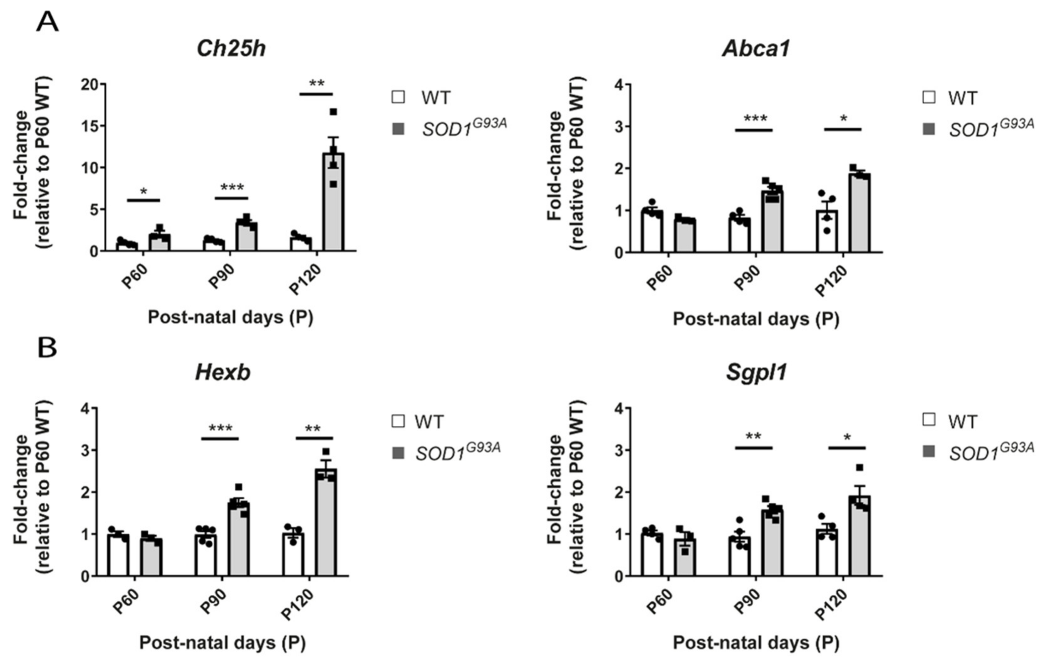 Ijms 22 09553 g008 550