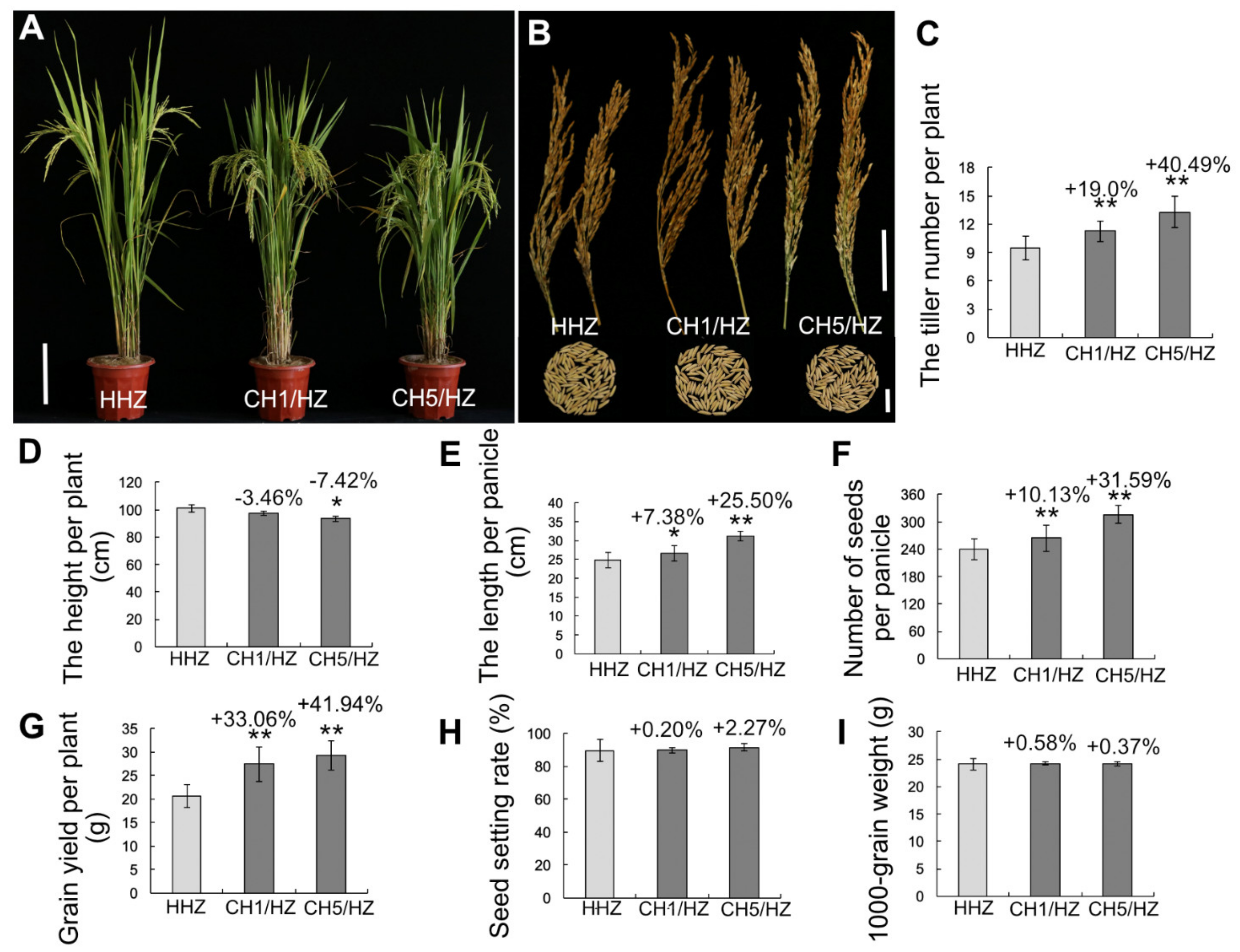 Ijms 22 09554 g001 Ijms 22 09554 g001