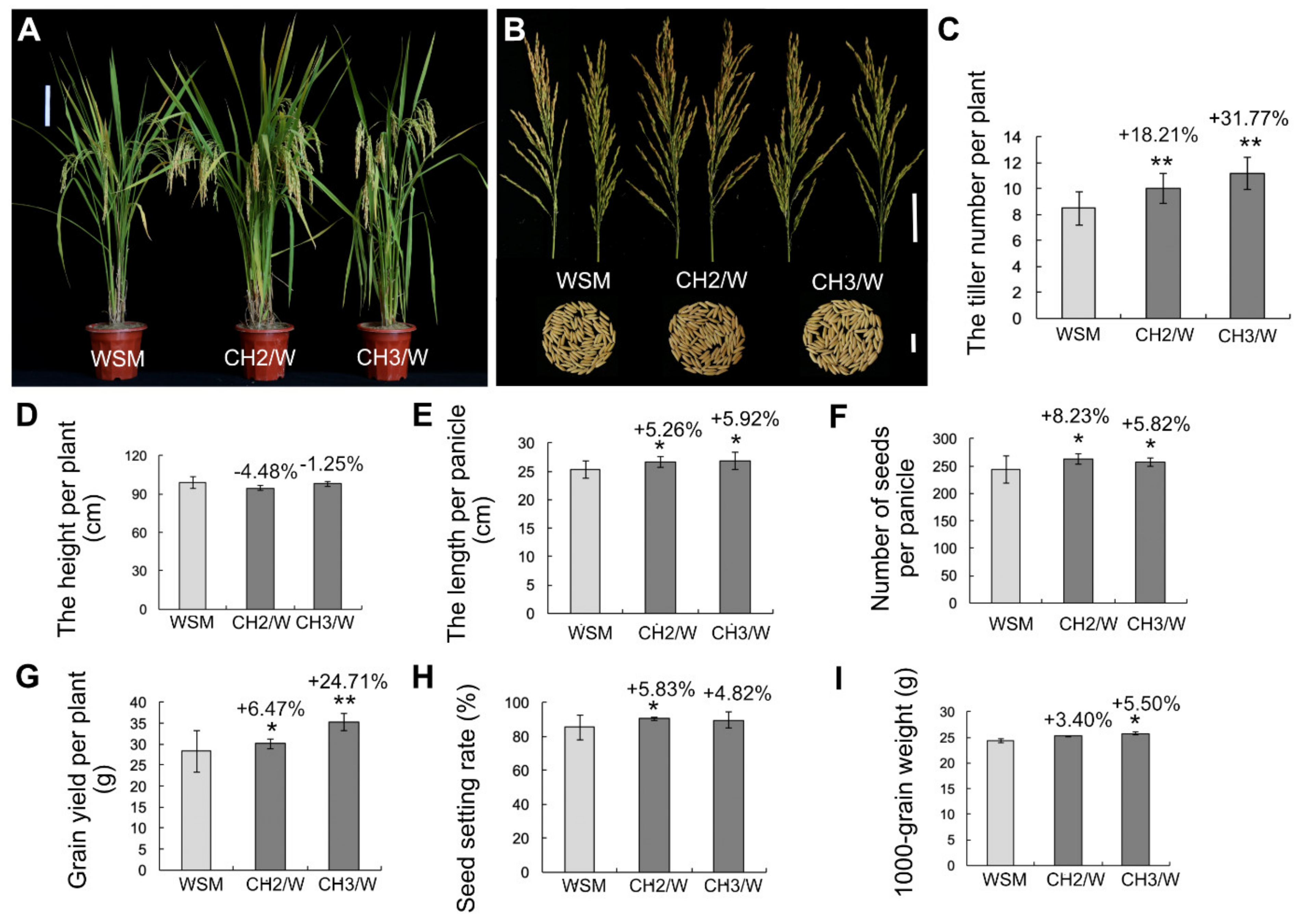 Ijms 22 09554 g003 Ijms 22 09554 g003