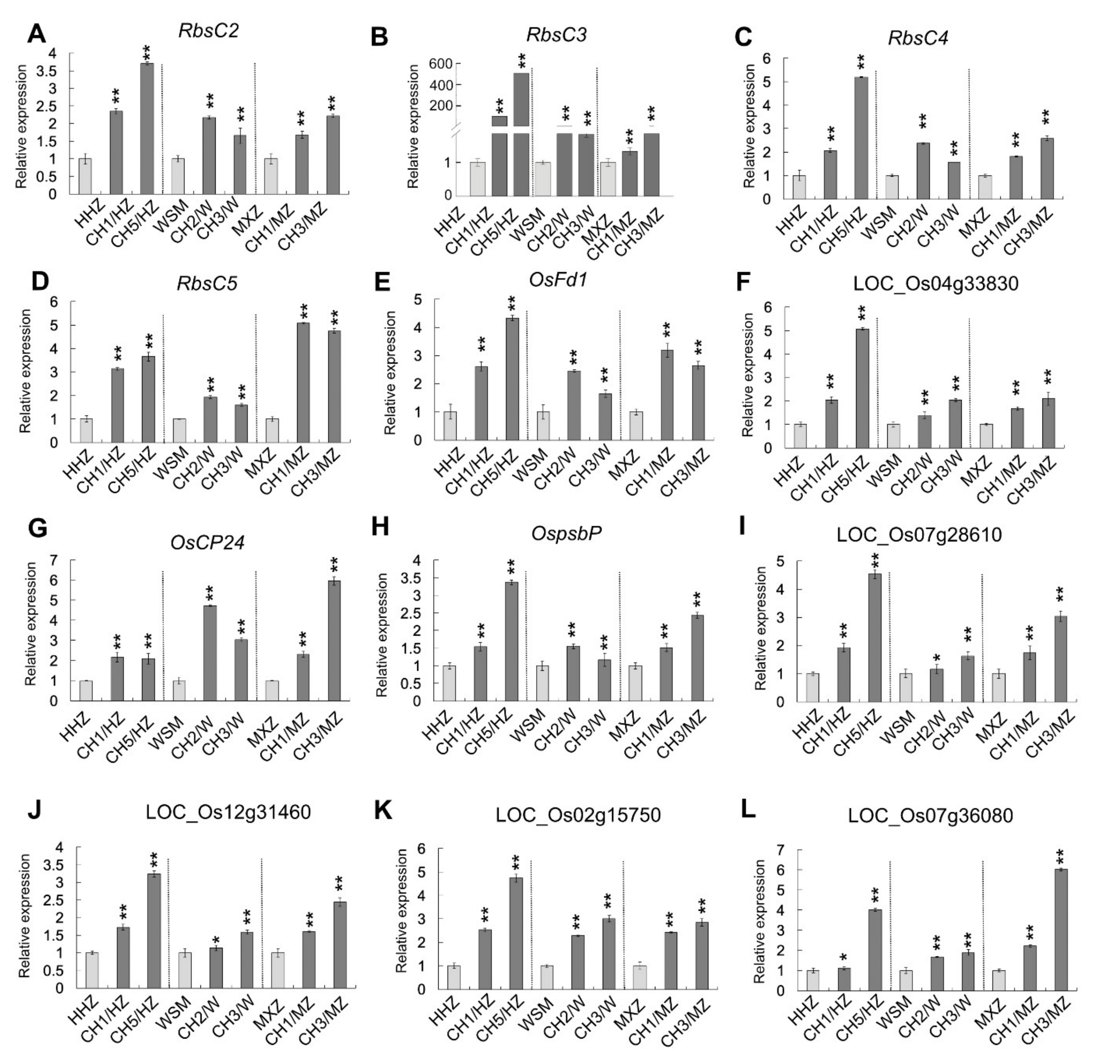 Ijms 22 09554 g007 Ijms 22 09554 g007