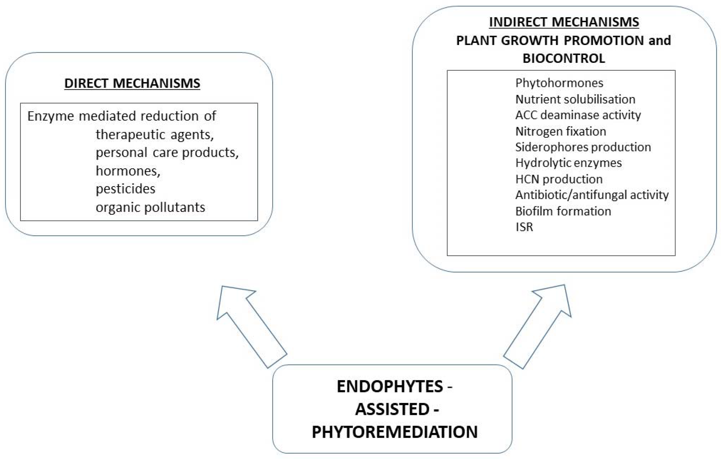 Ijms 22 09557 g001 550