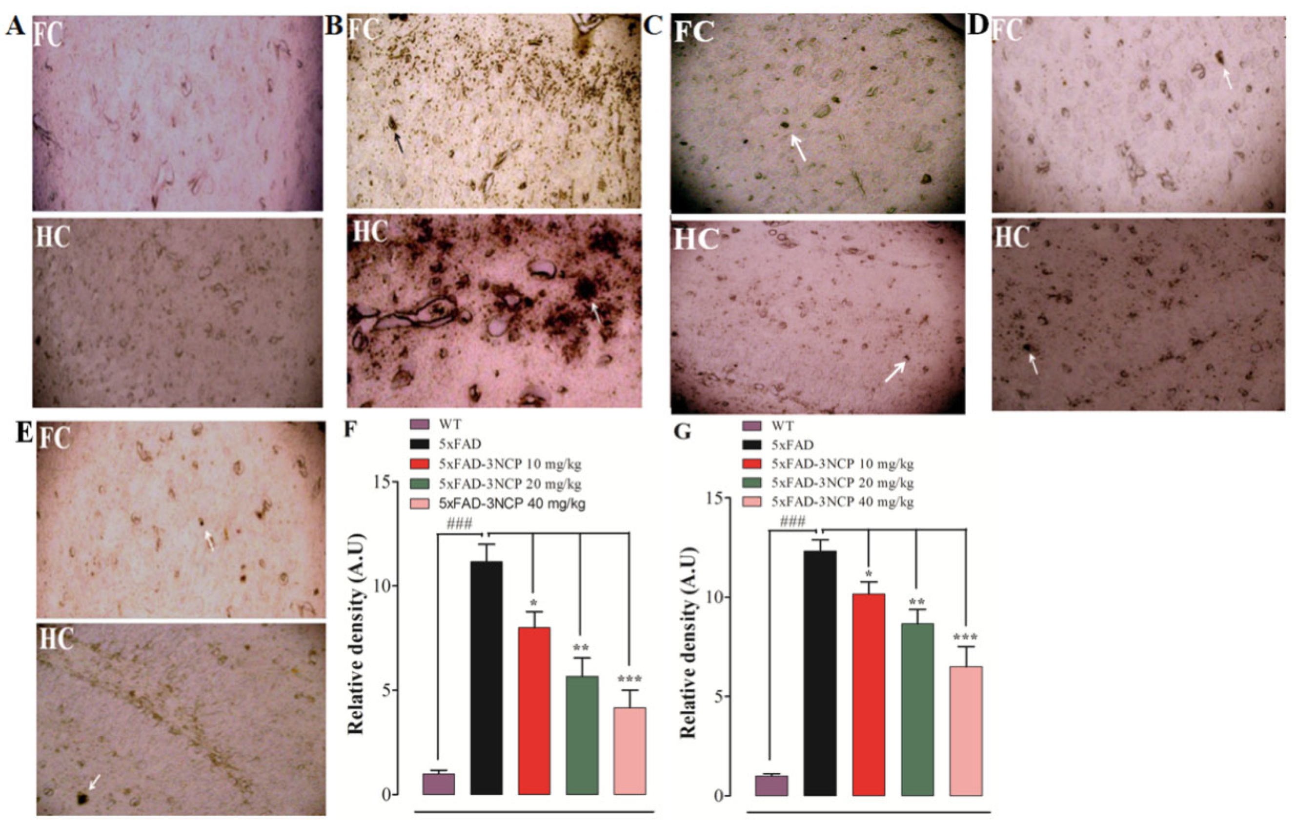 Ijms 22 09559 g007 550