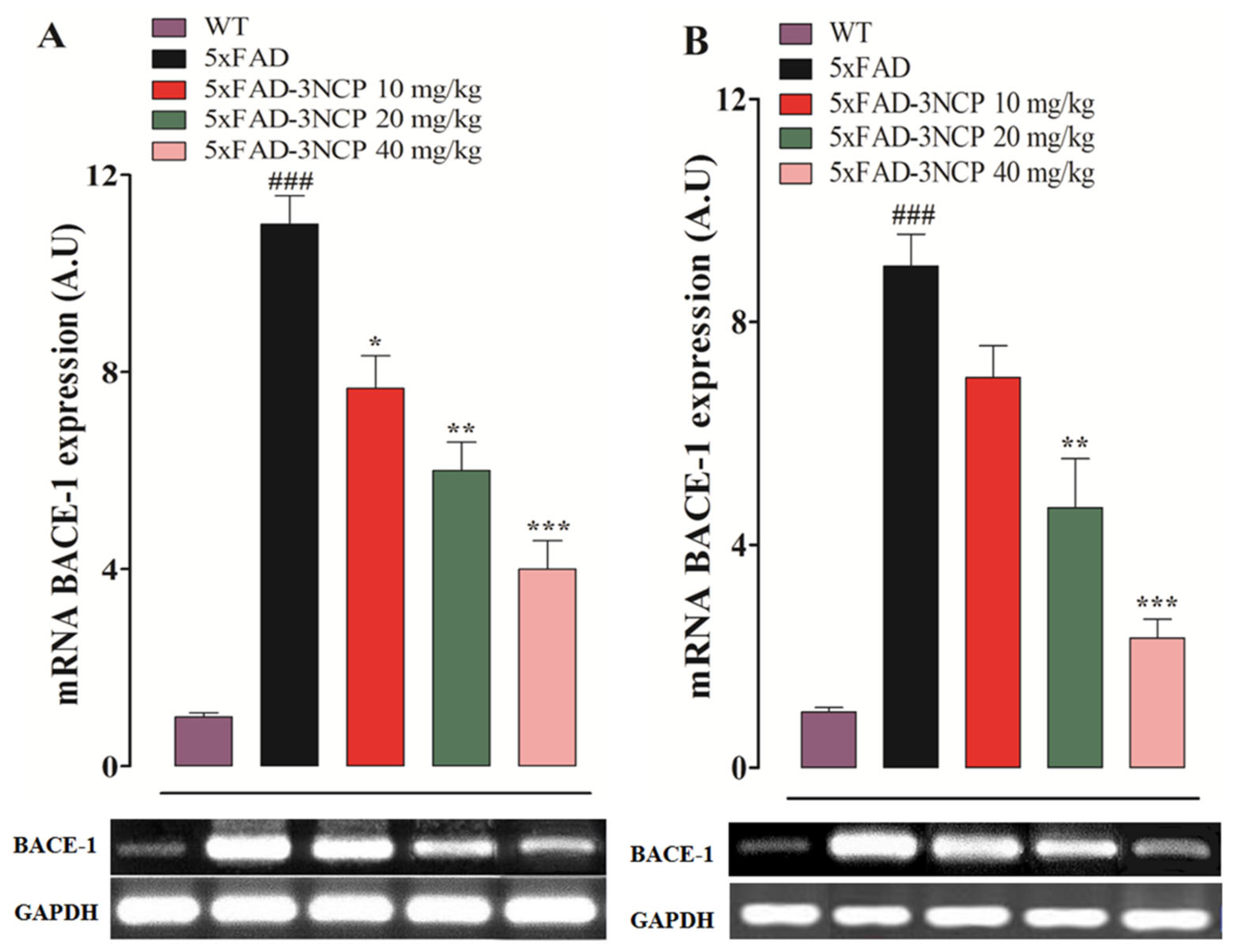 Ijms 22 09559 g008 550