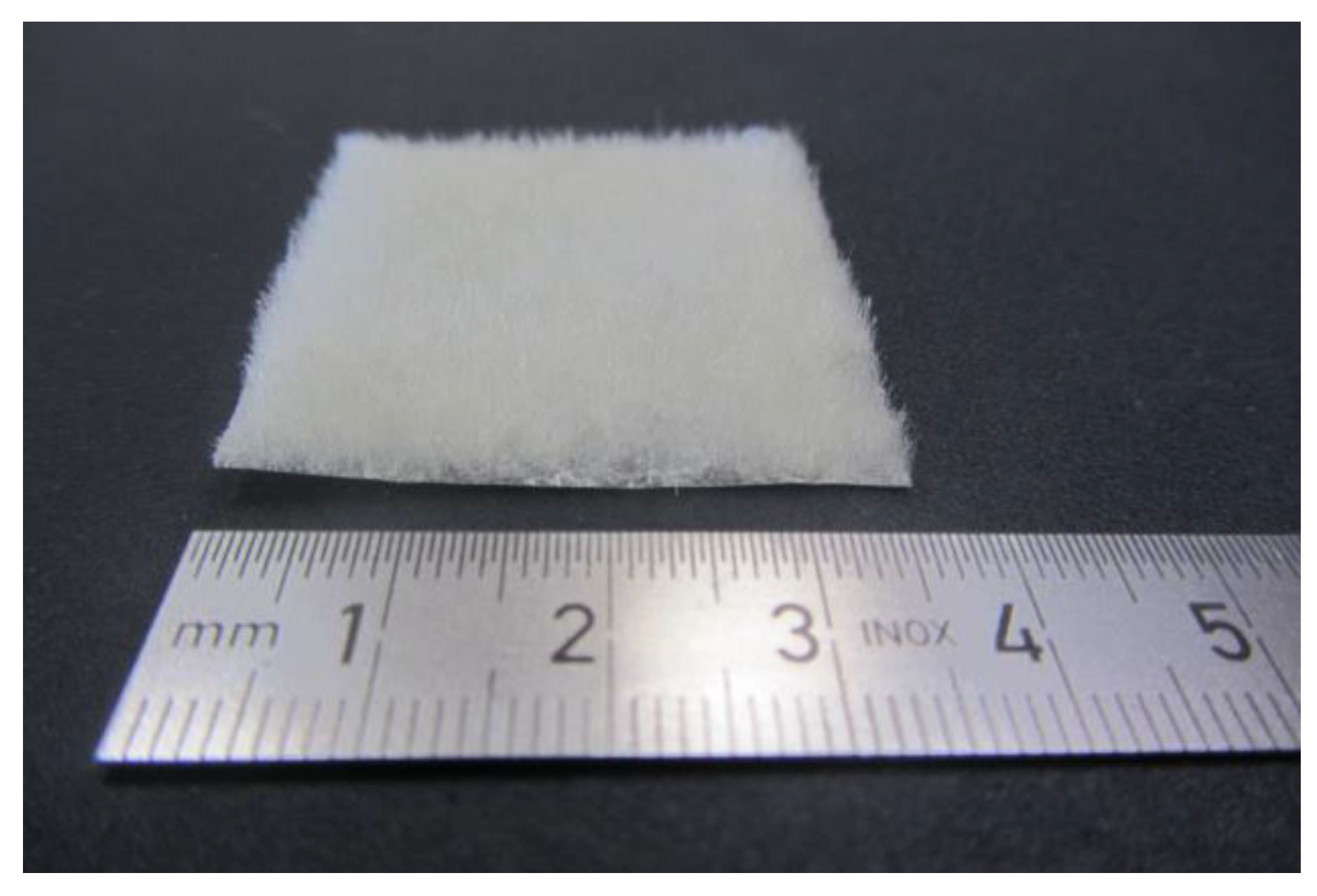 Ijms 22 09561 g010 550