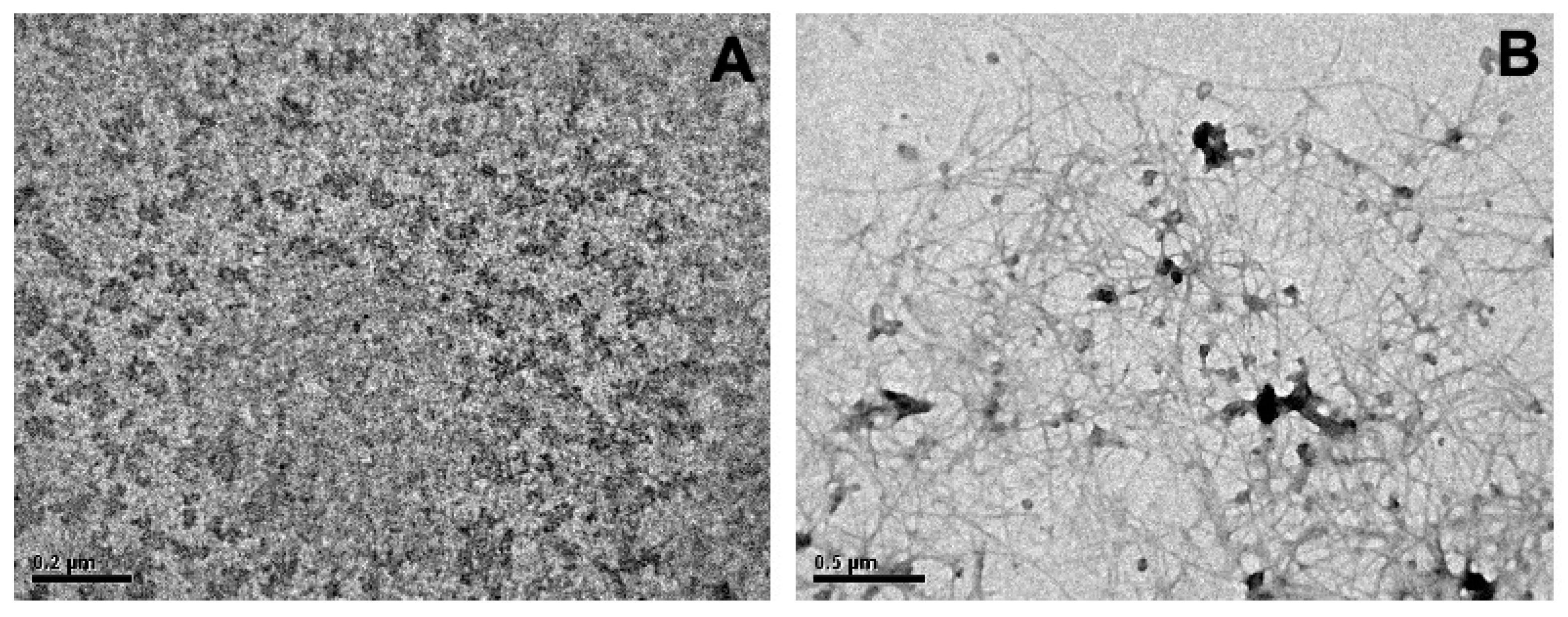 Ijms 22 09563 g002 550