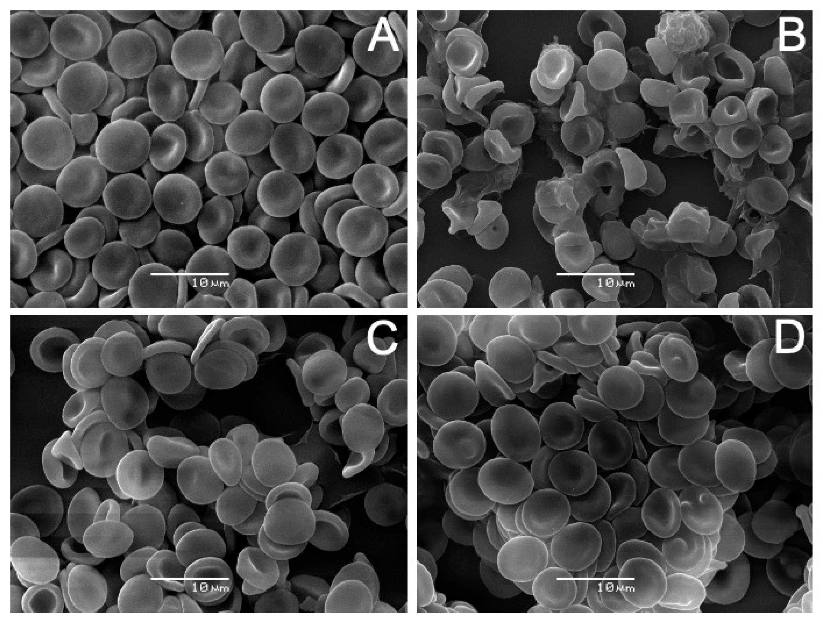 Ijms 22 09563 g009 550