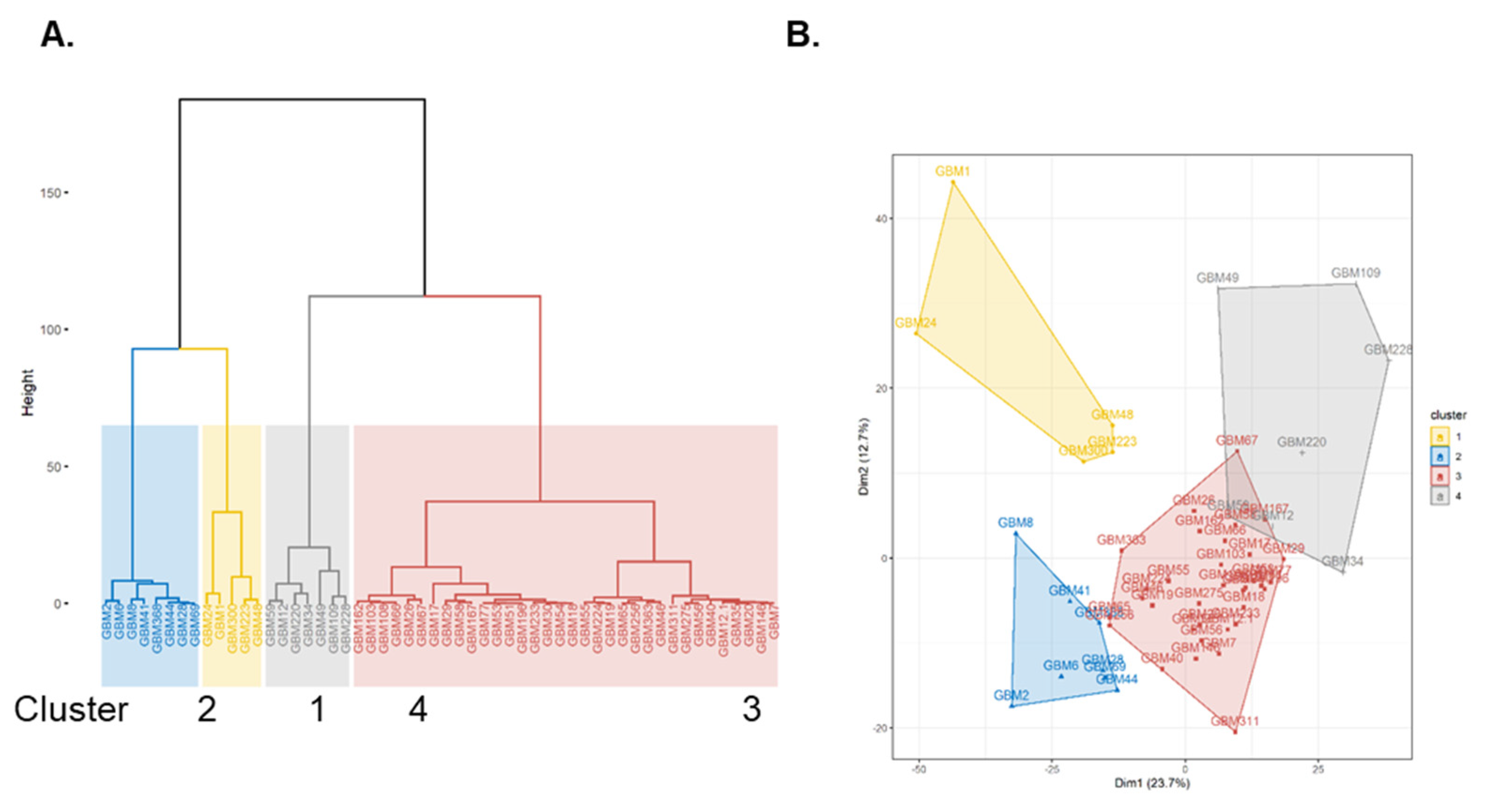 Ijms 22 09566 g002 Ijms 22 09566 g002