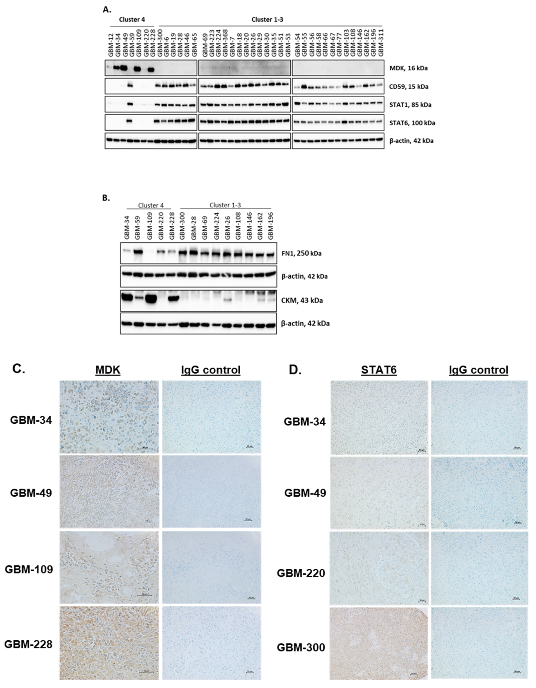 Ijms 22 09566 g004 Ijms 22 09566 g004