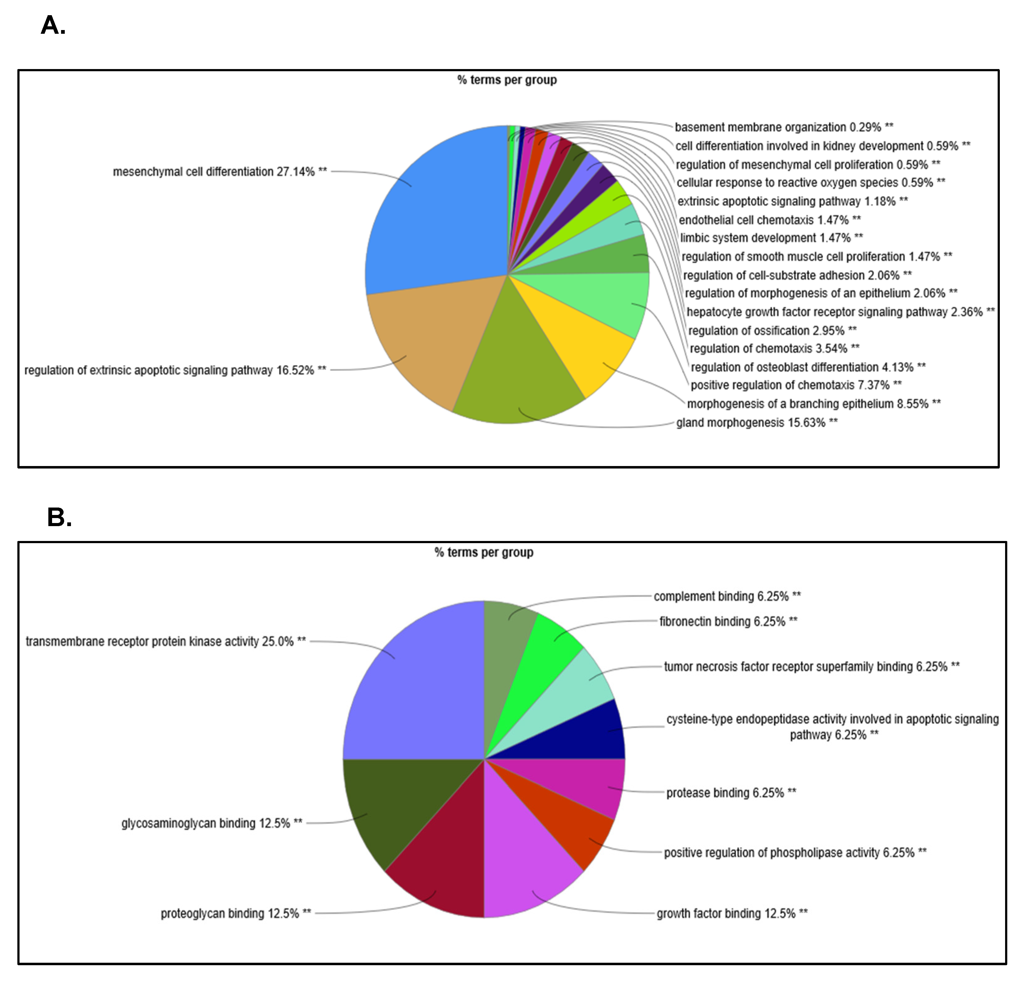 Ijms 22 09566 g007a Ijms 22 09566 g007a