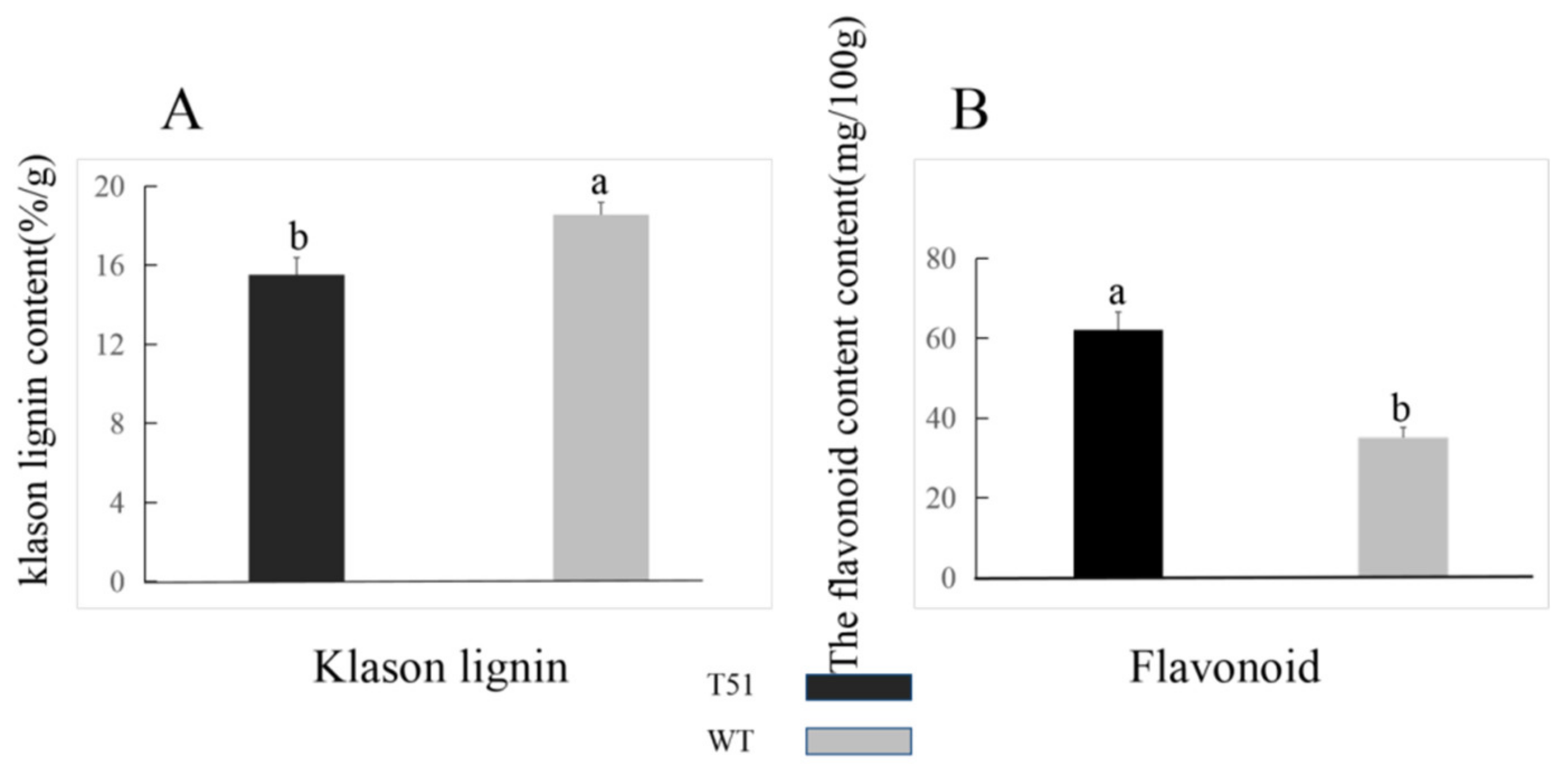 Ijms 22 09568 g004 Ijms 22 09568 g004