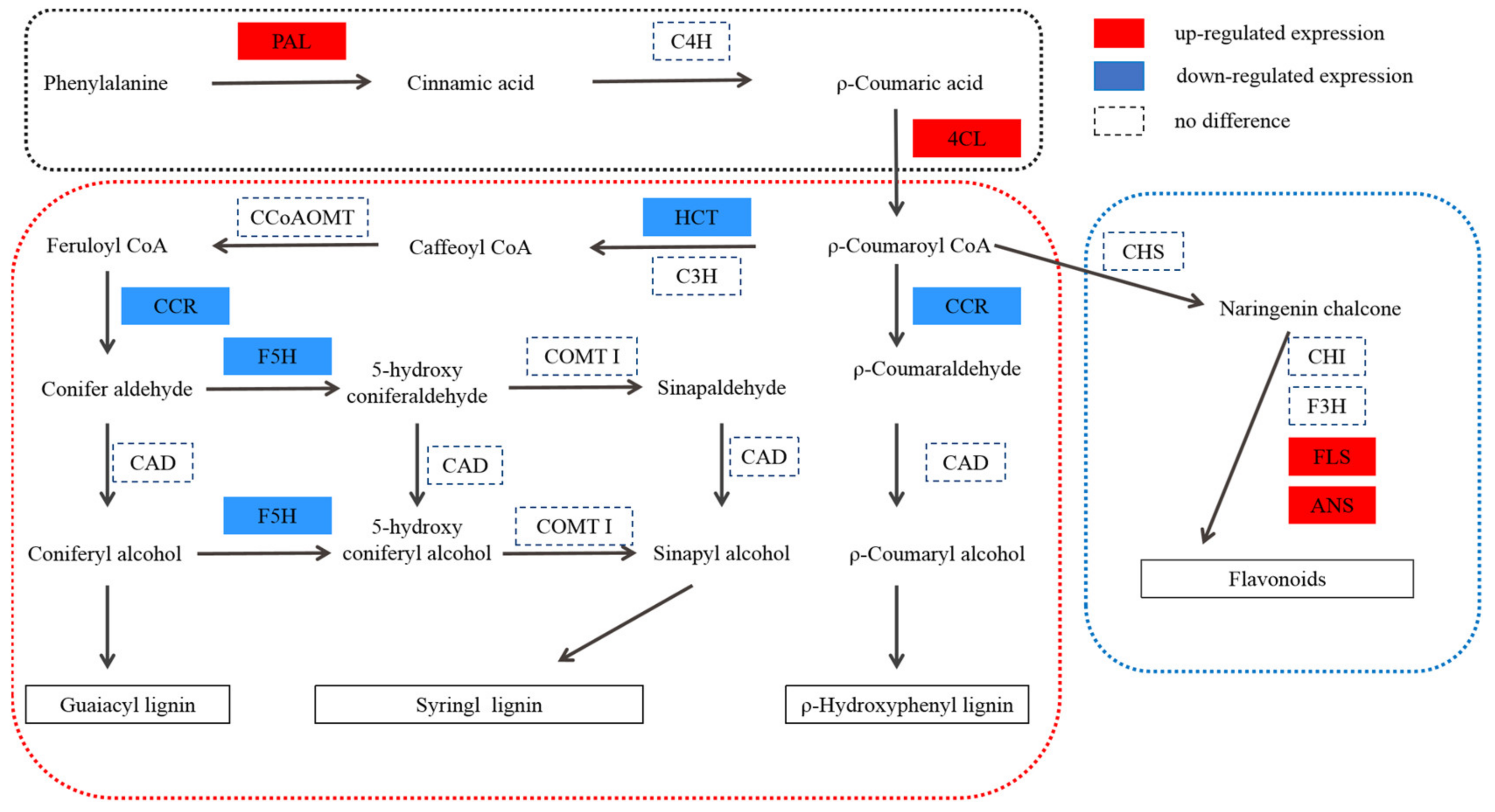 Ijms 22 09568 g005 Ijms 22 09568 g005