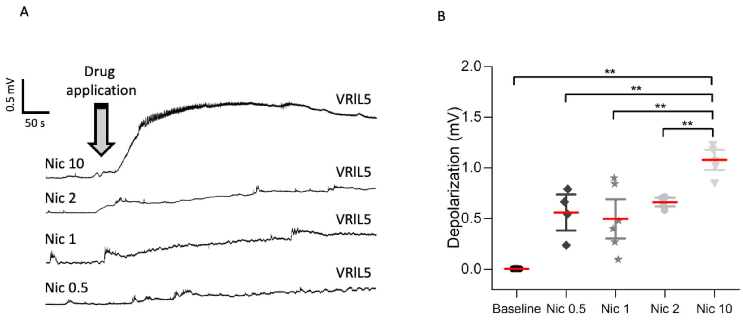 Ijms 22 09572 g001 Ijms 22 09572 g001