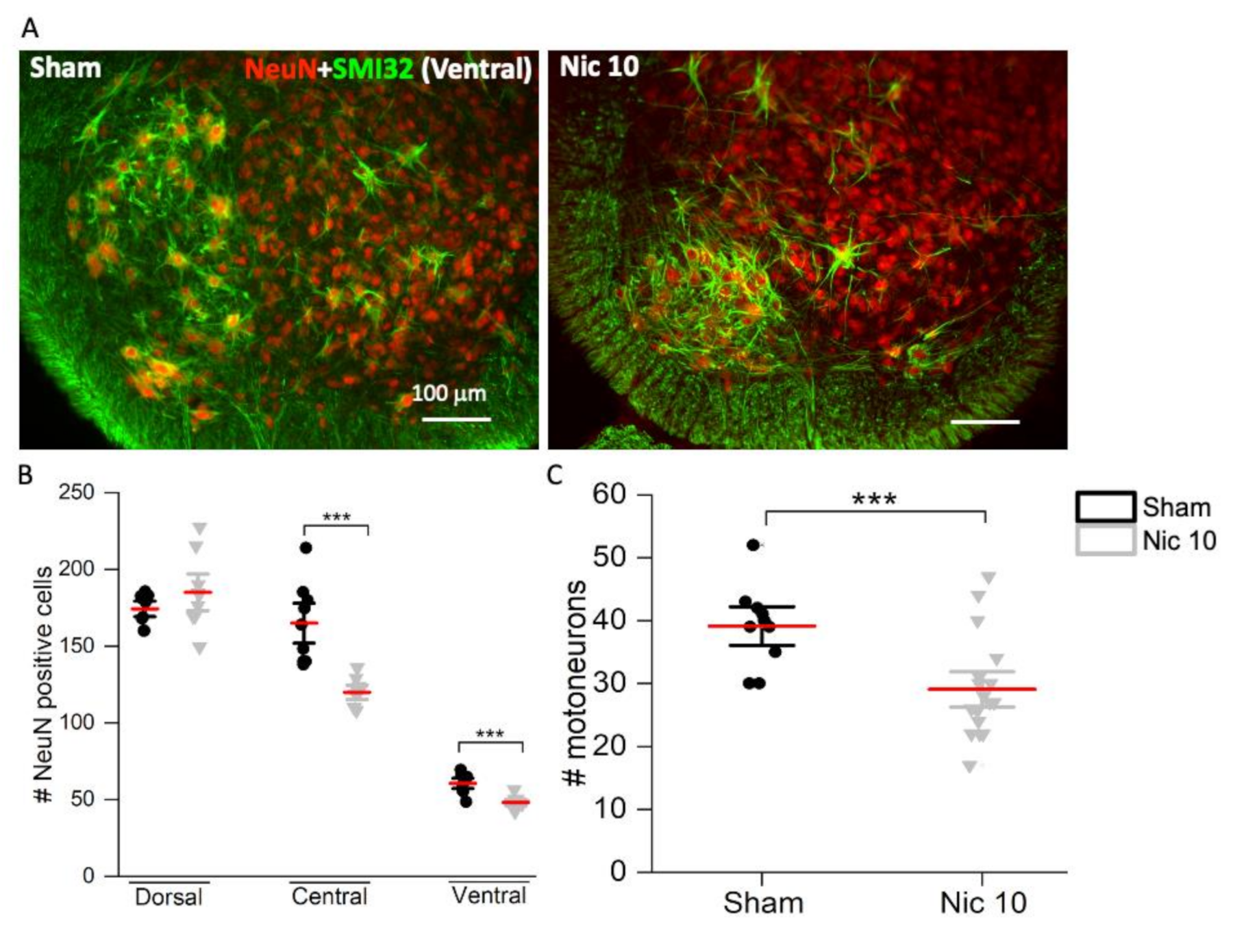 Ijms 22 09572 g003 Ijms 22 09572 g003