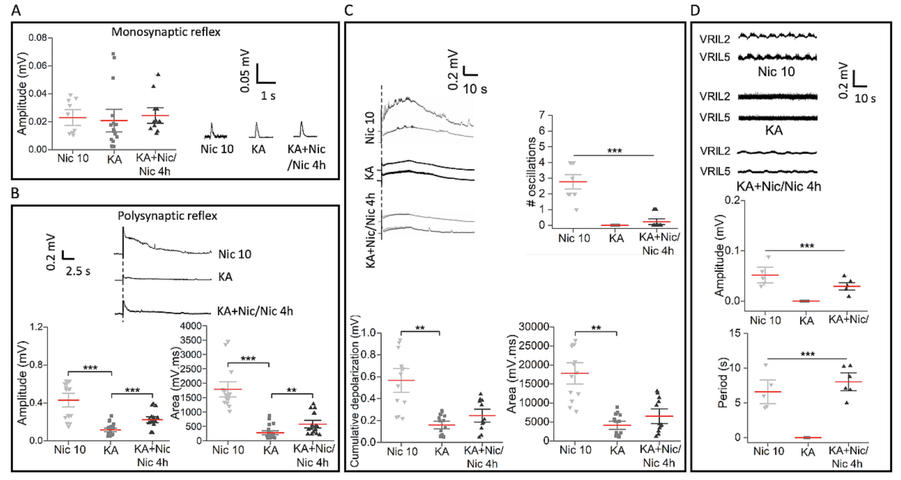 Ijms 22 09572 g007 Ijms 22 09572 g007