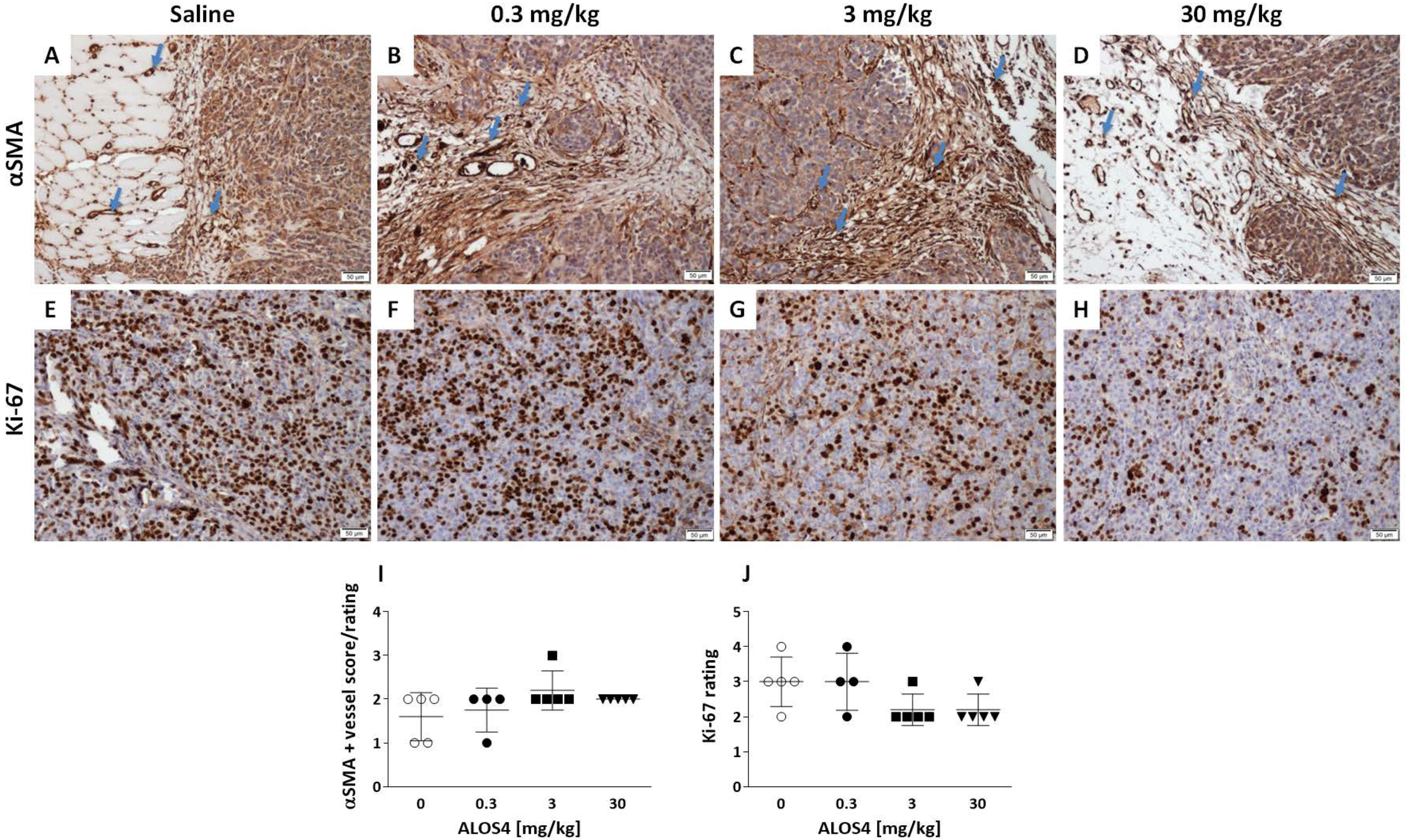 Ijms 22 09579 g002 550