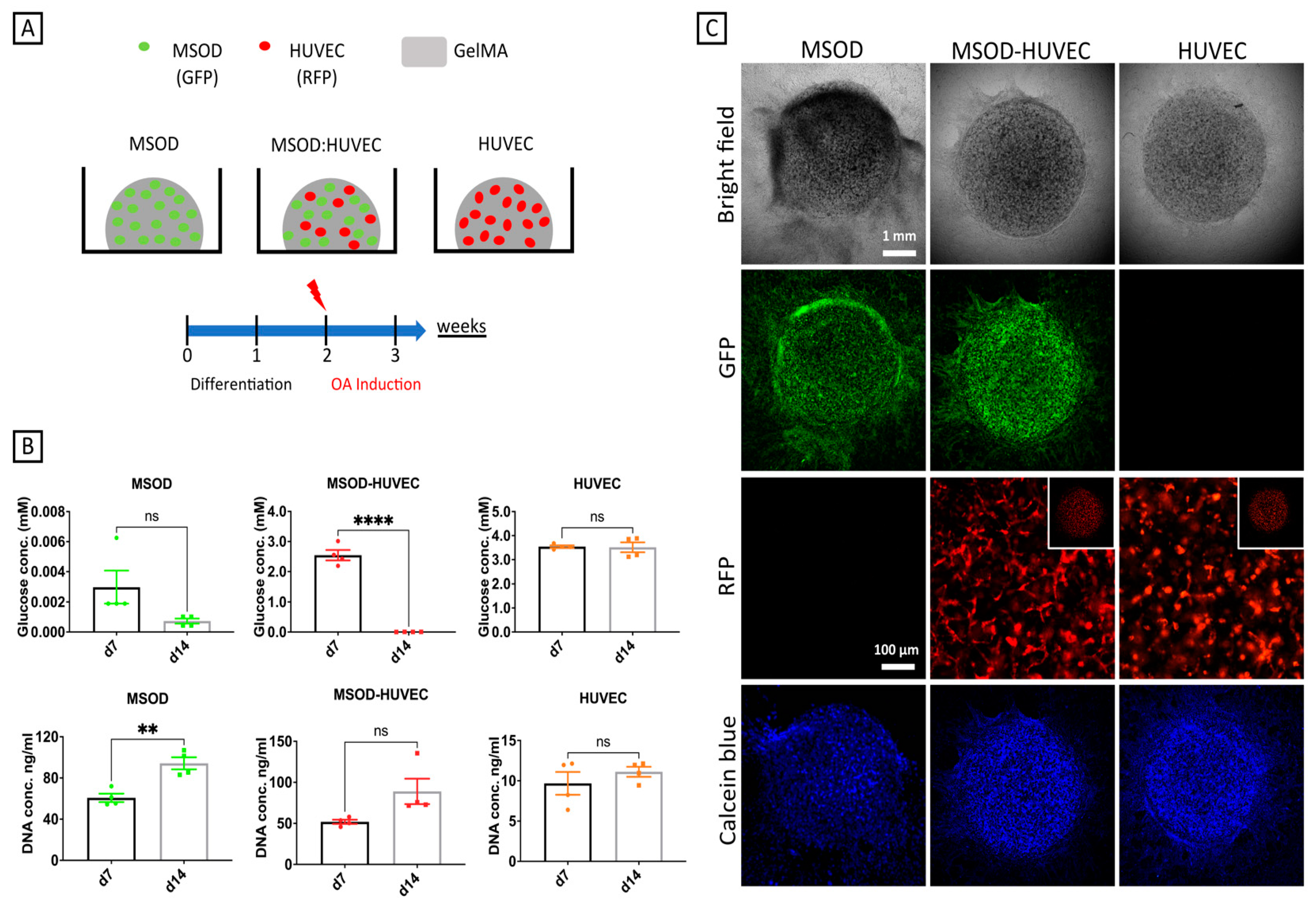 Ijms 22 09581 g001 550