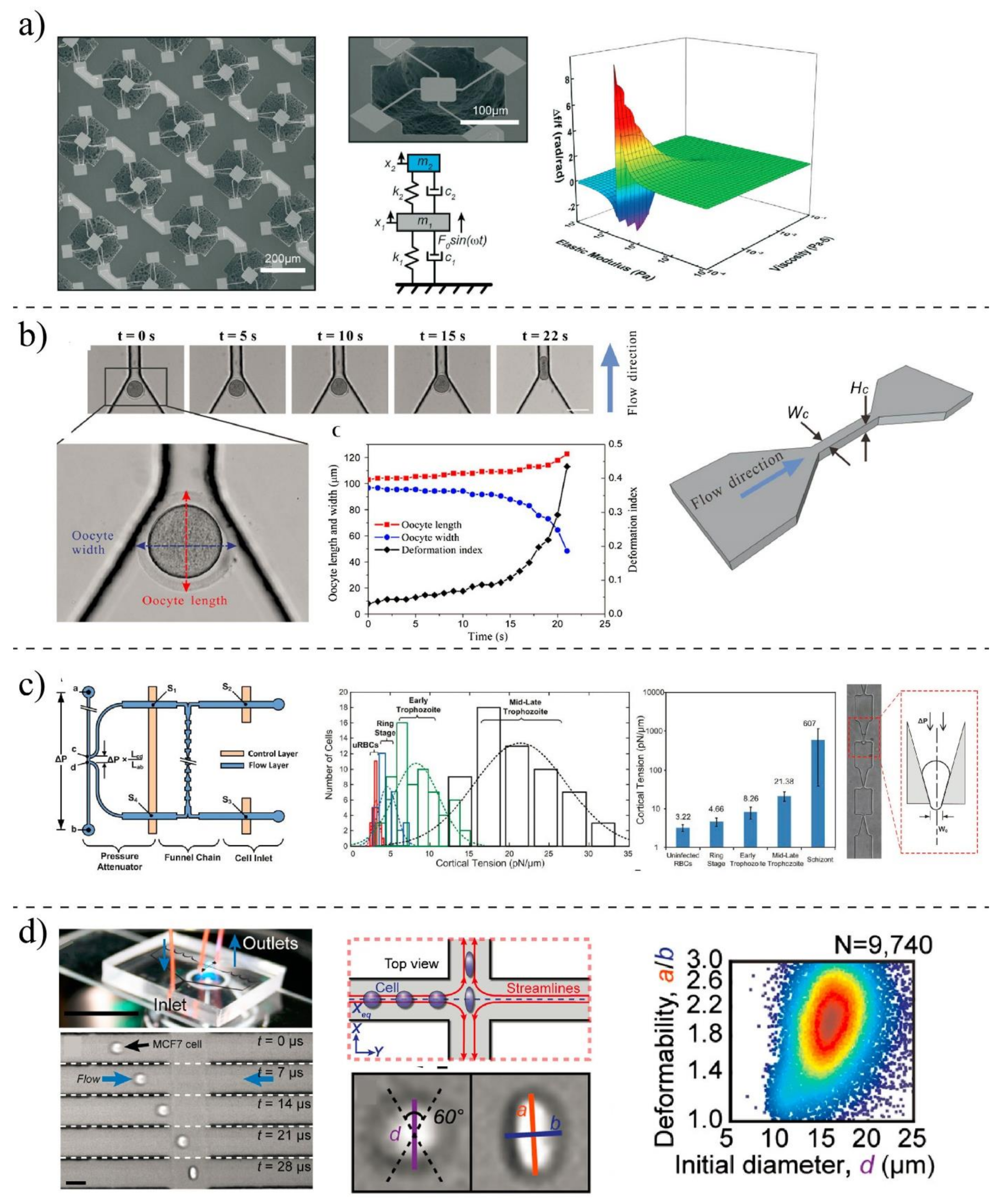 Ijms 22 09587 g006 Ijms 22 09587 g006