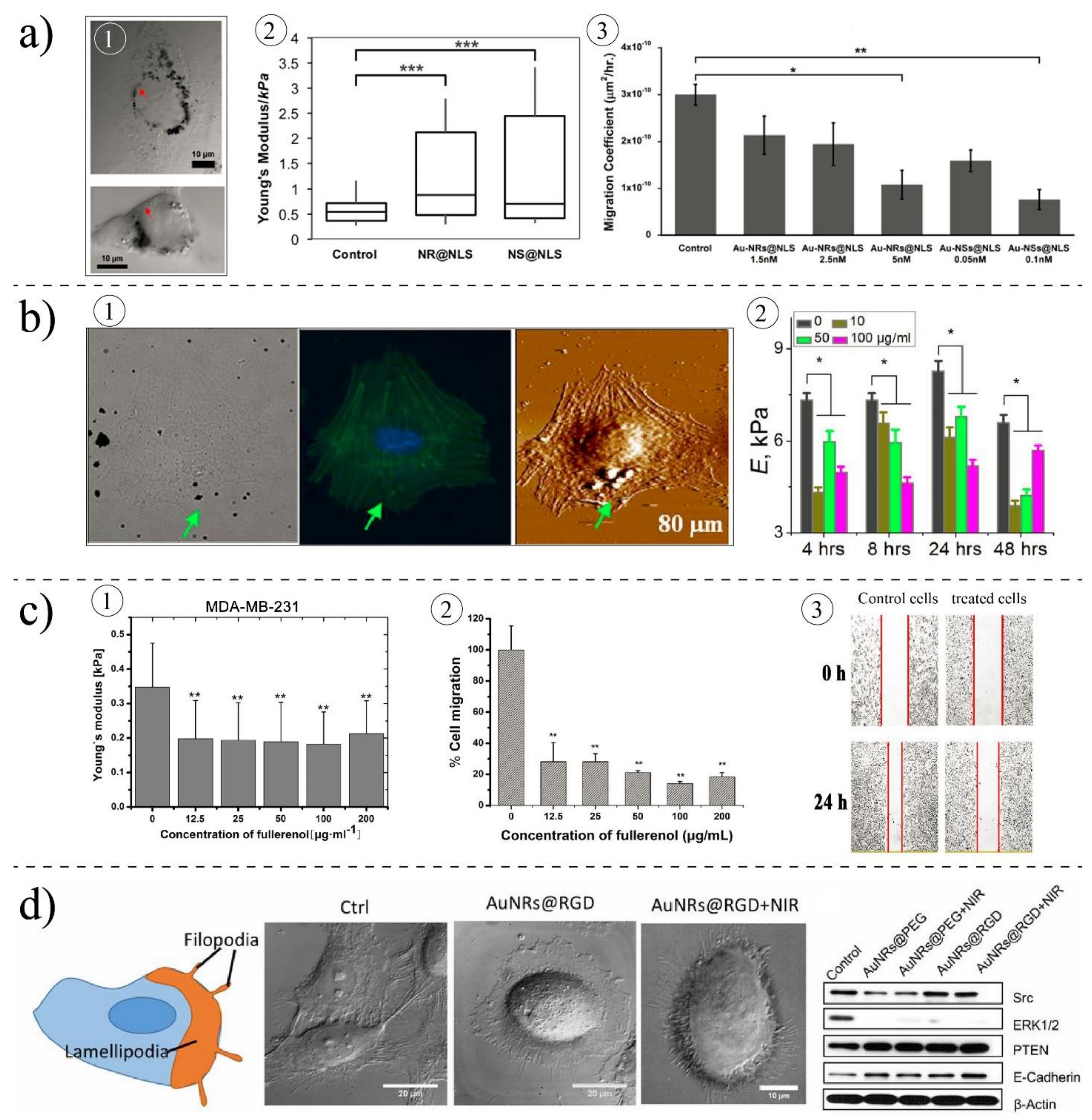 Ijms 22 09587 g008 Ijms 22 09587 g008