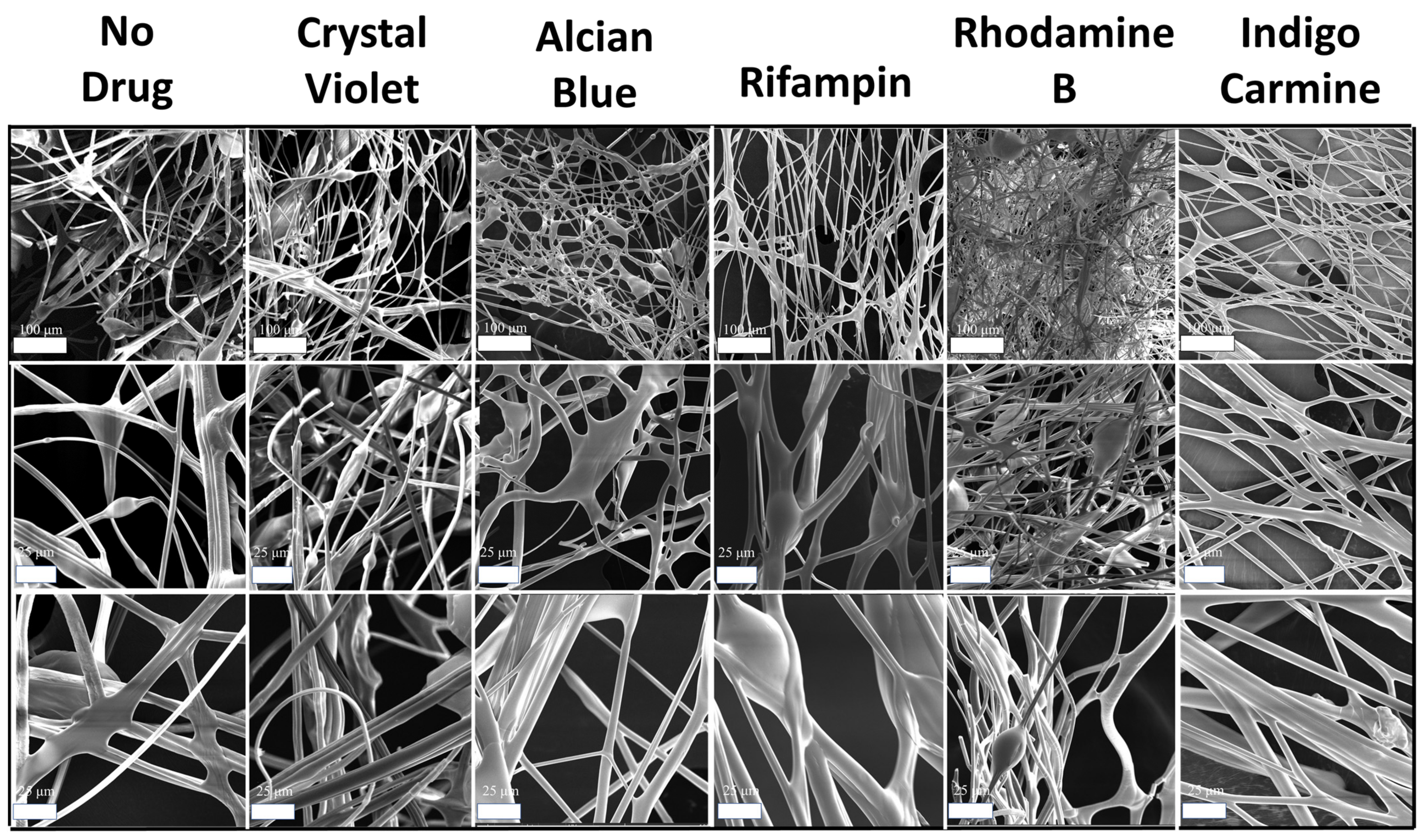 Ijms 22 09588 g007 550