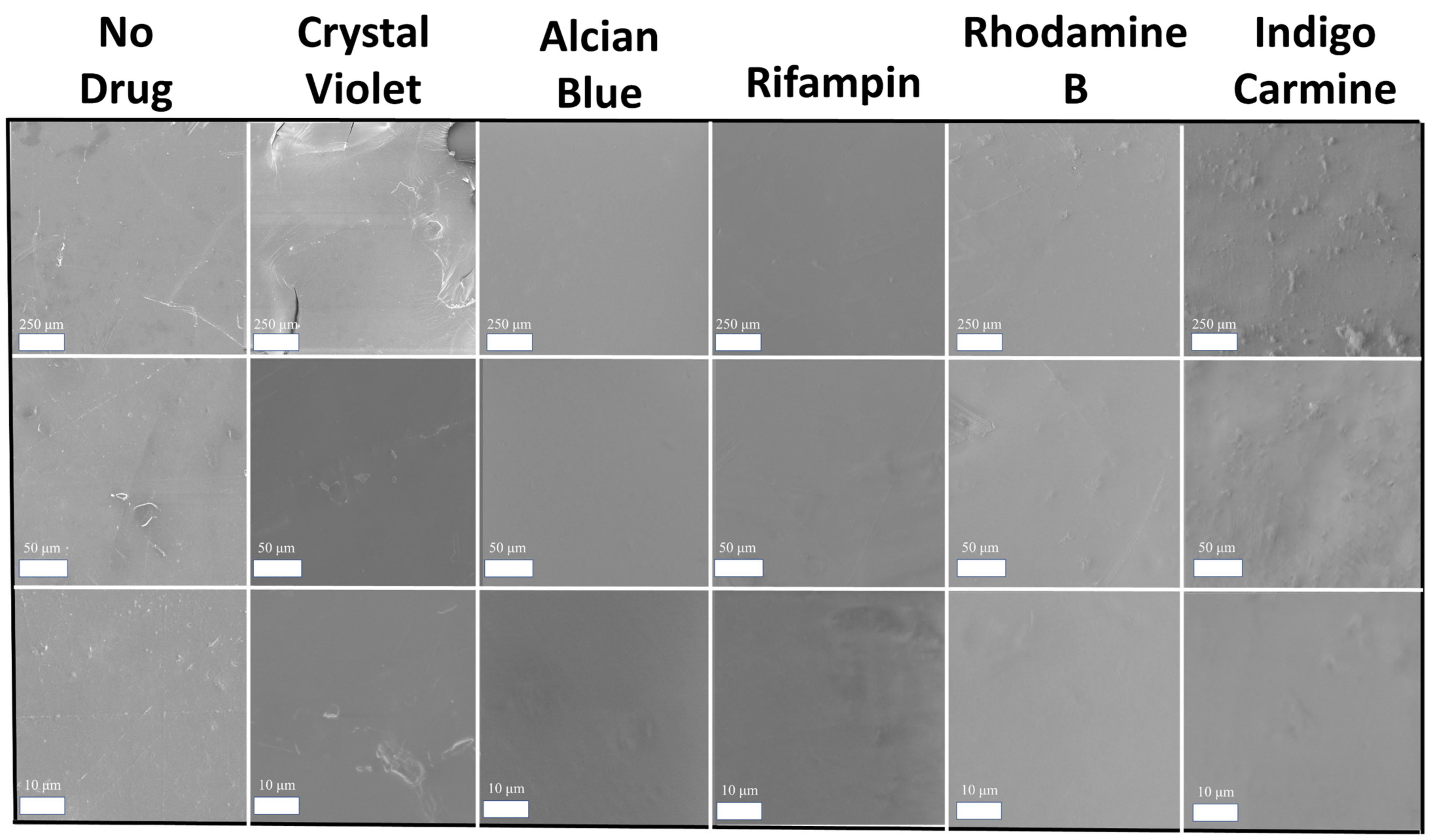 Ijms 22 09588 g008 550