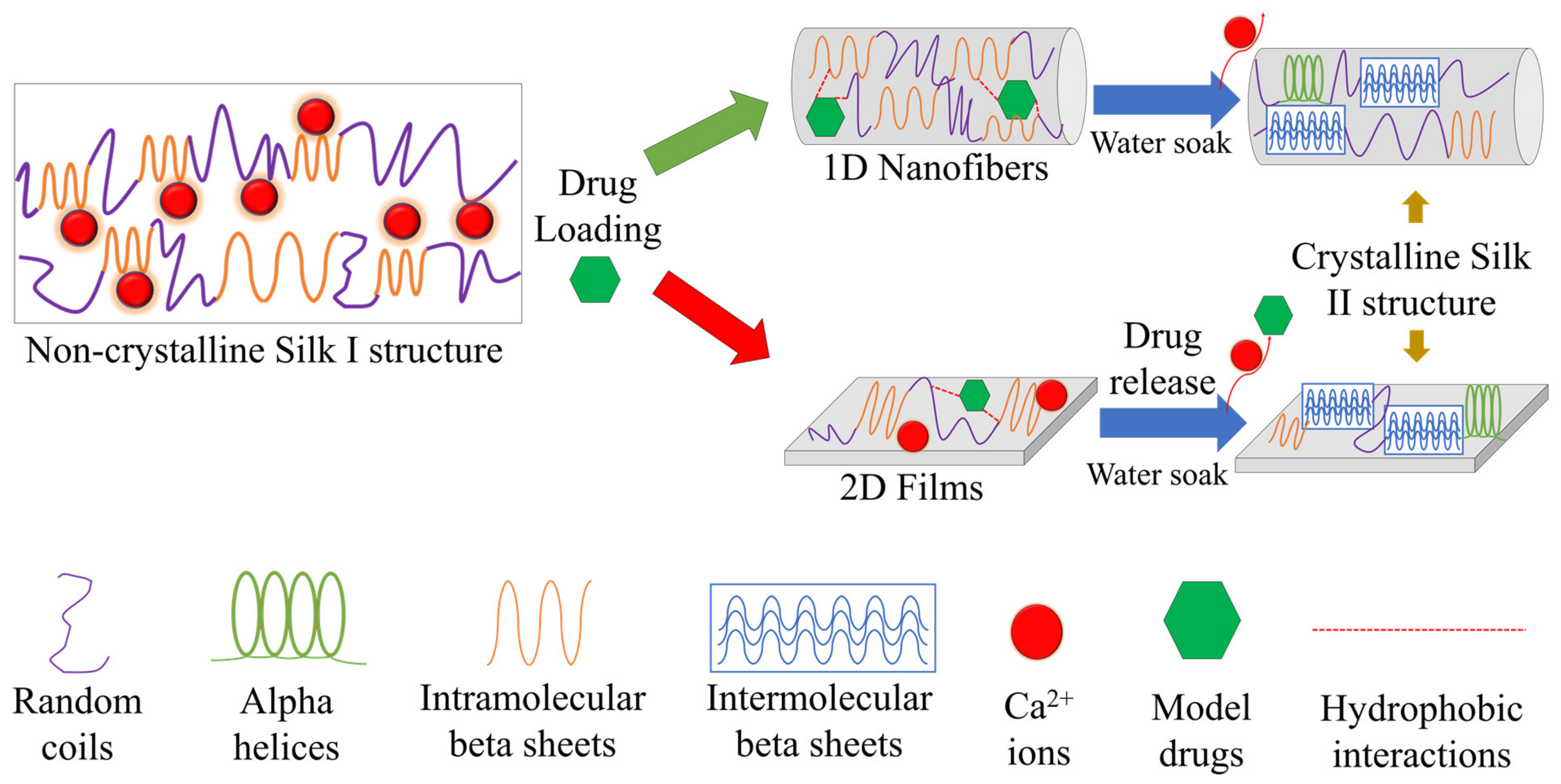 Ijms 22 09588 g010 550