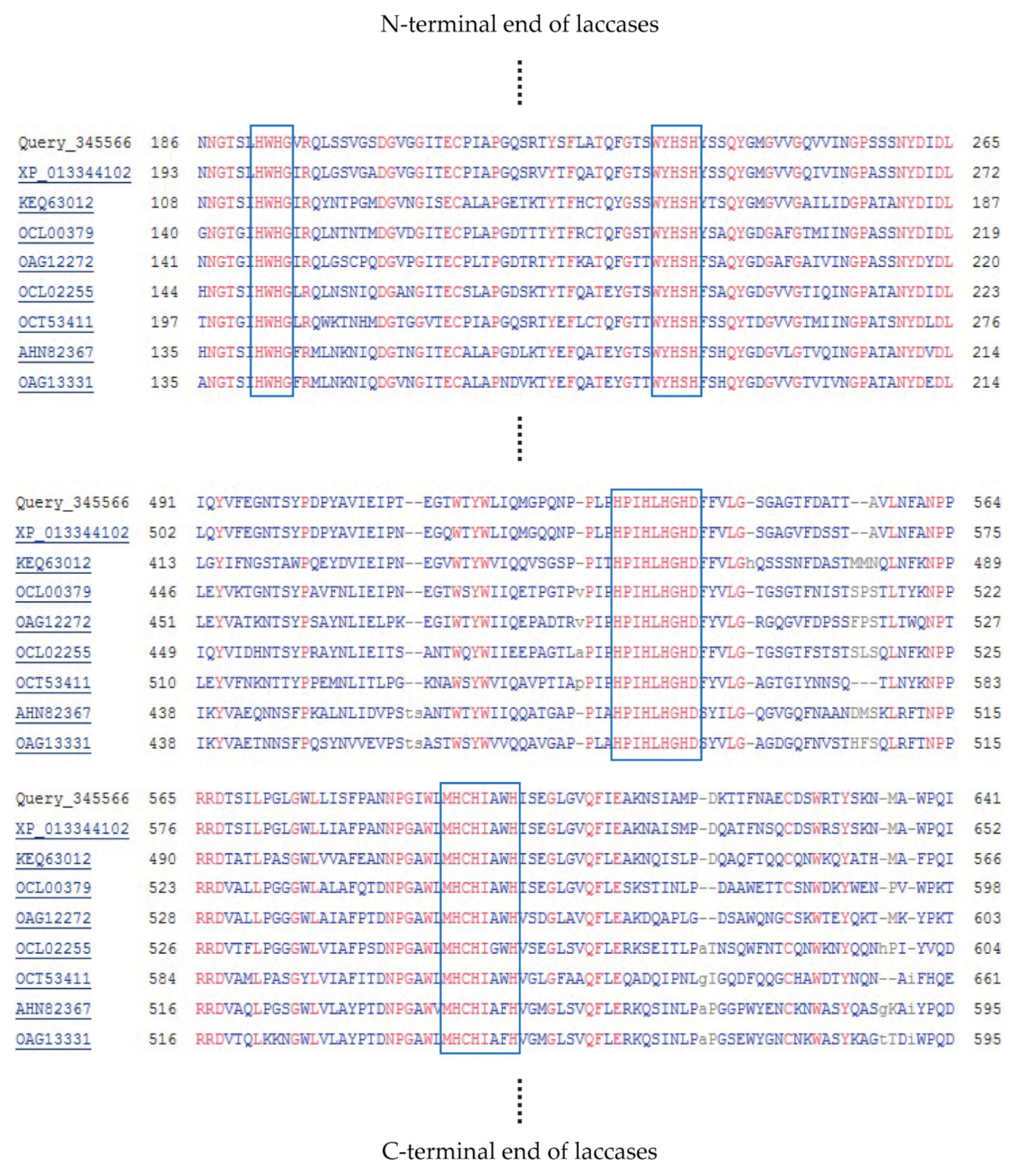Ijms 22 09593 g001 Ijms 22 09593 g001