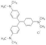 Ijms 22 09593 i003 Ijms 22 09593 i003