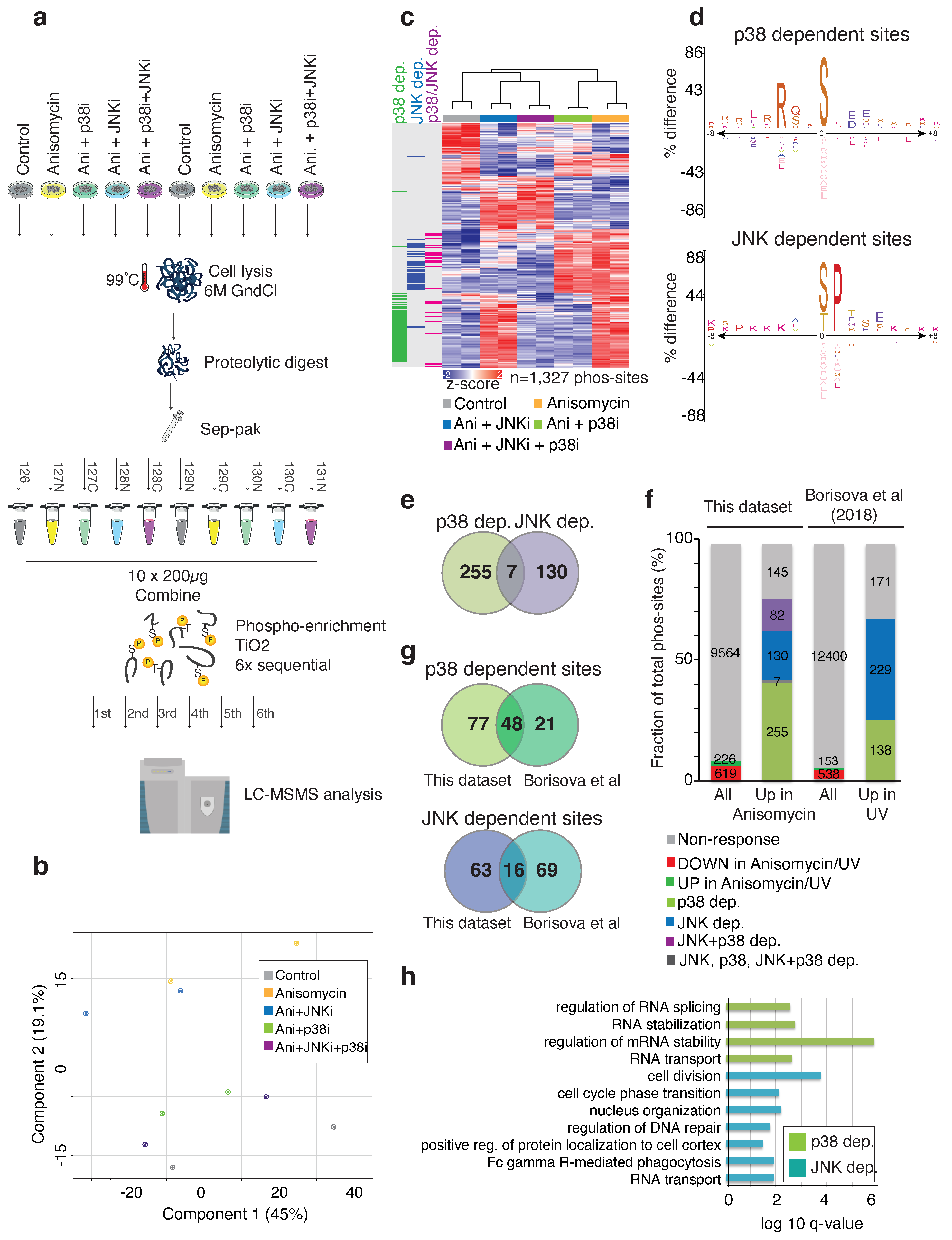 Ijms 22 09595 g001 550
