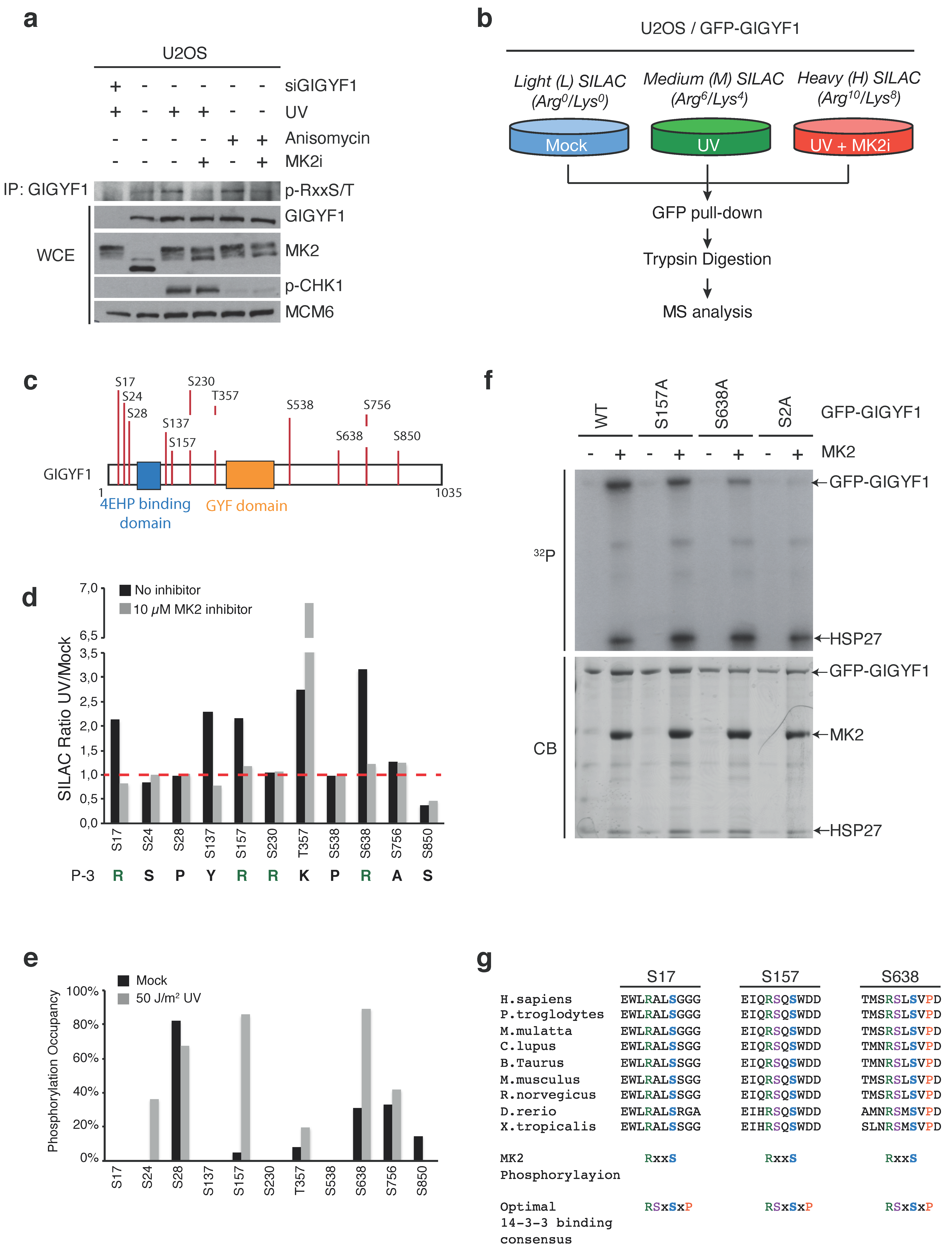 Ijms 22 09595 g002 550
