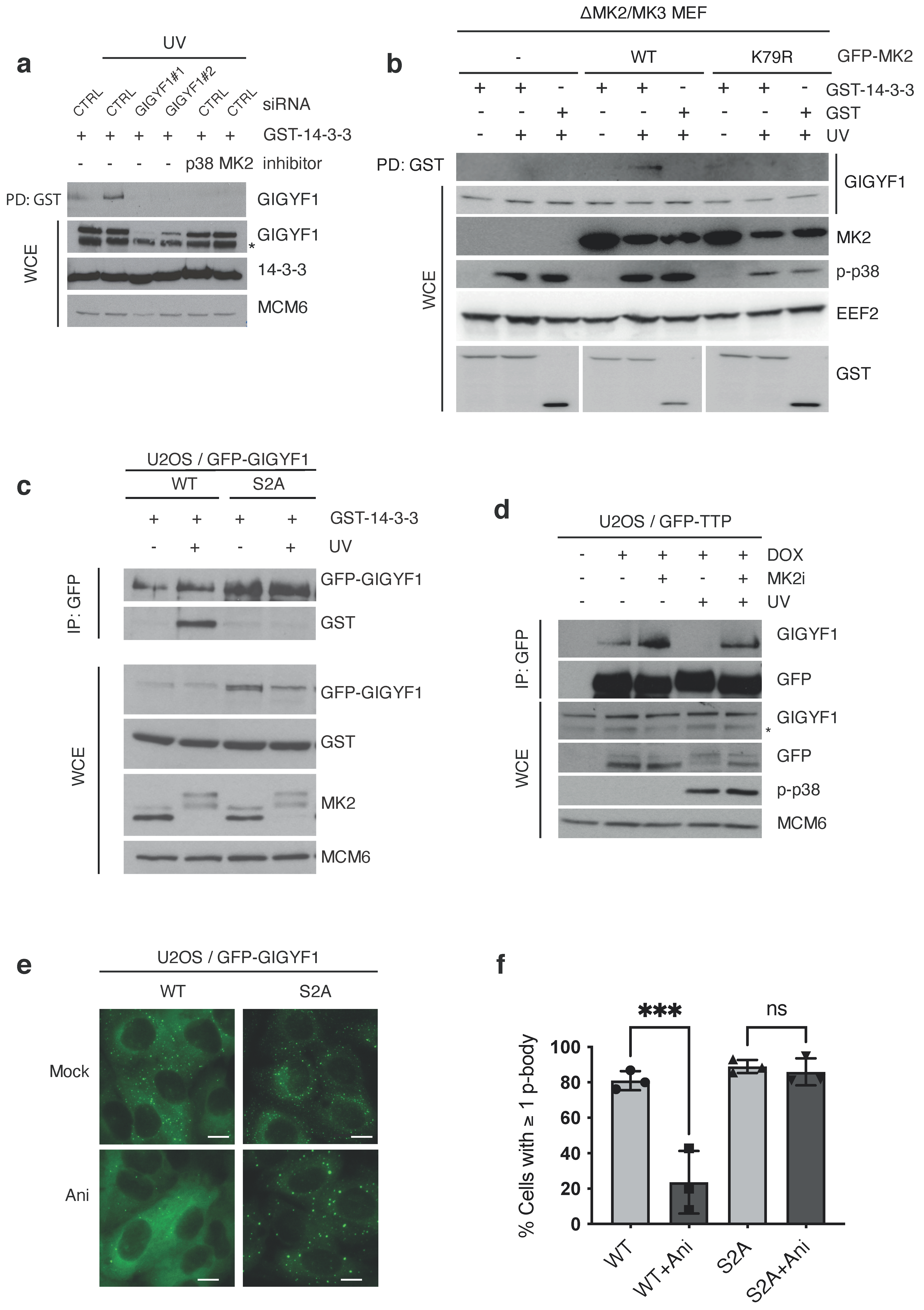 Ijms 22 09595 g003 550