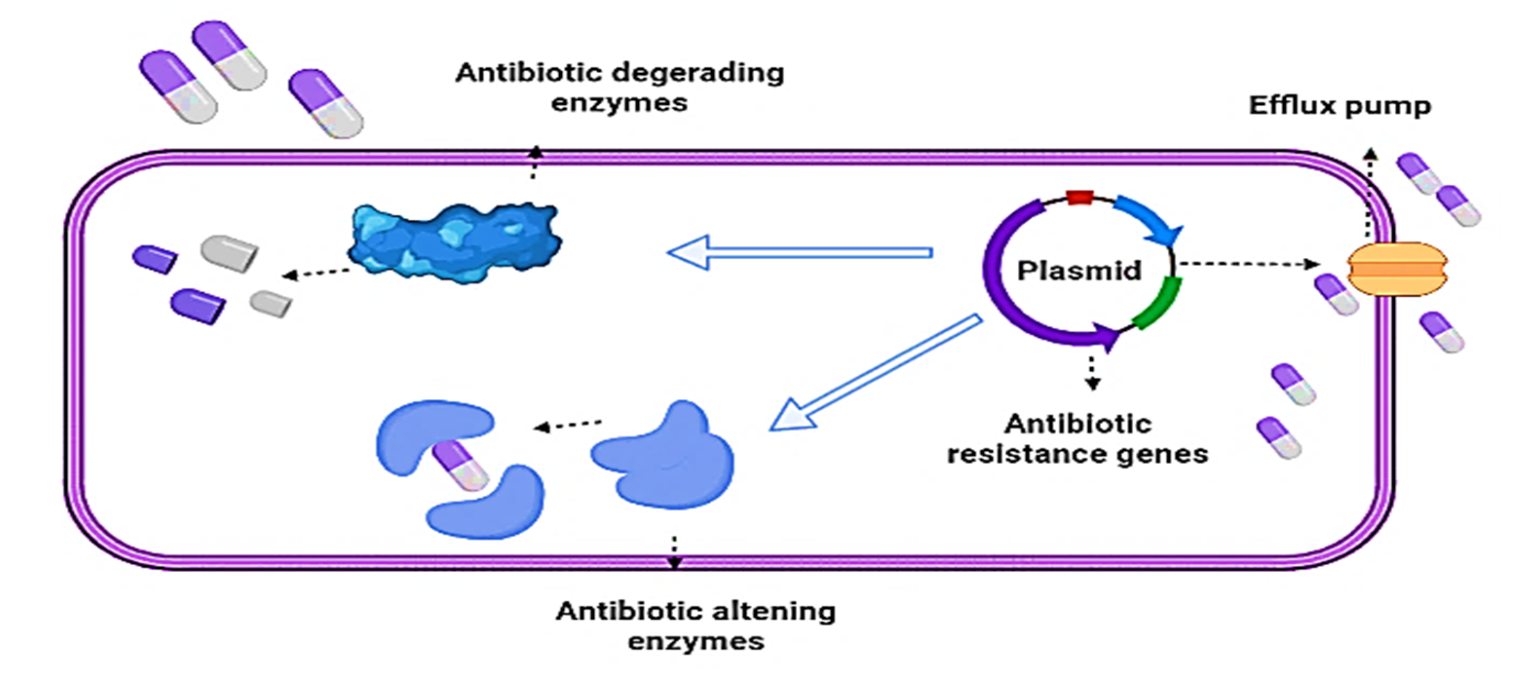 Ijms 22 09596 g001 550