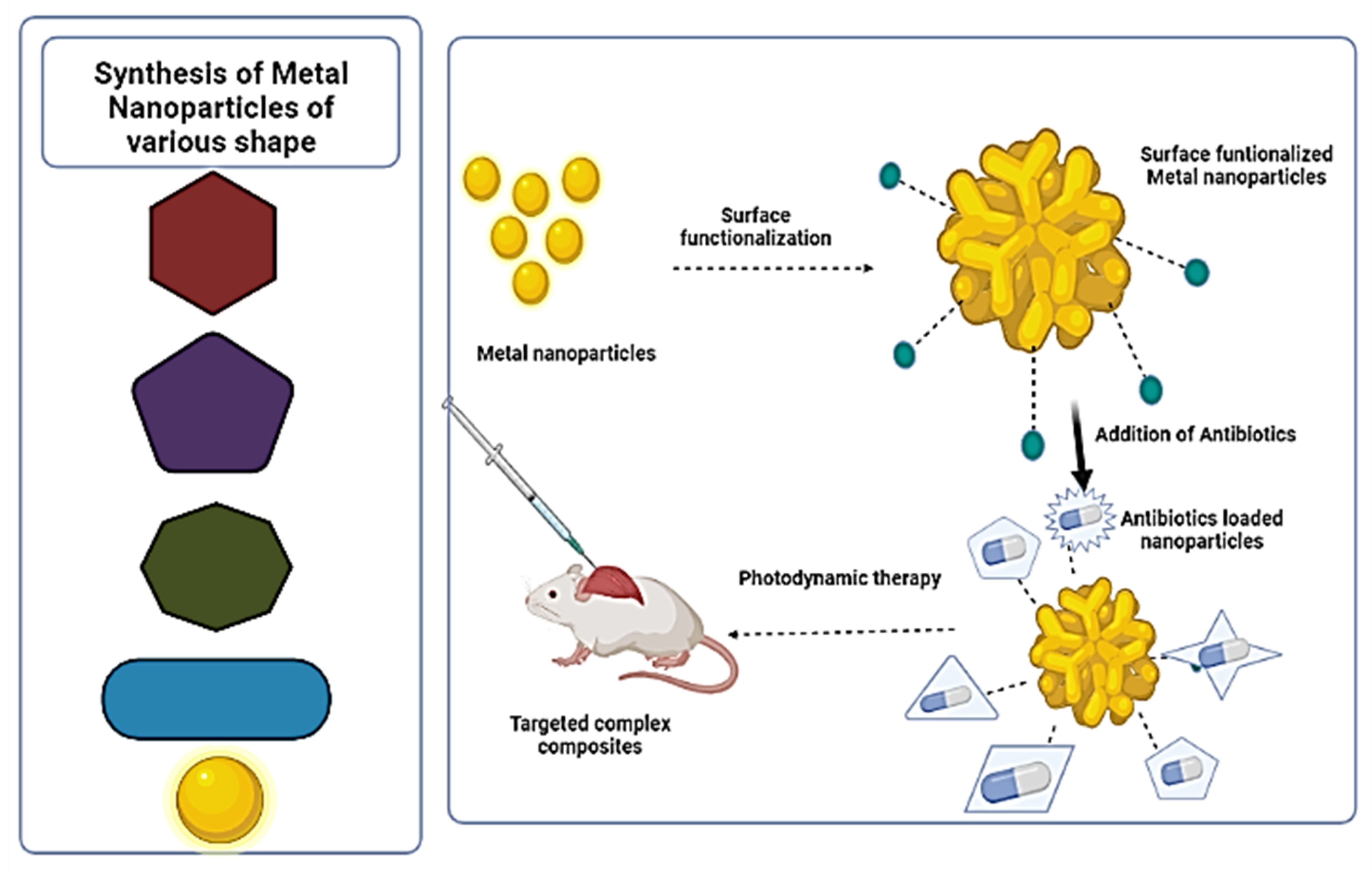 Ijms 22 09596 g002 550