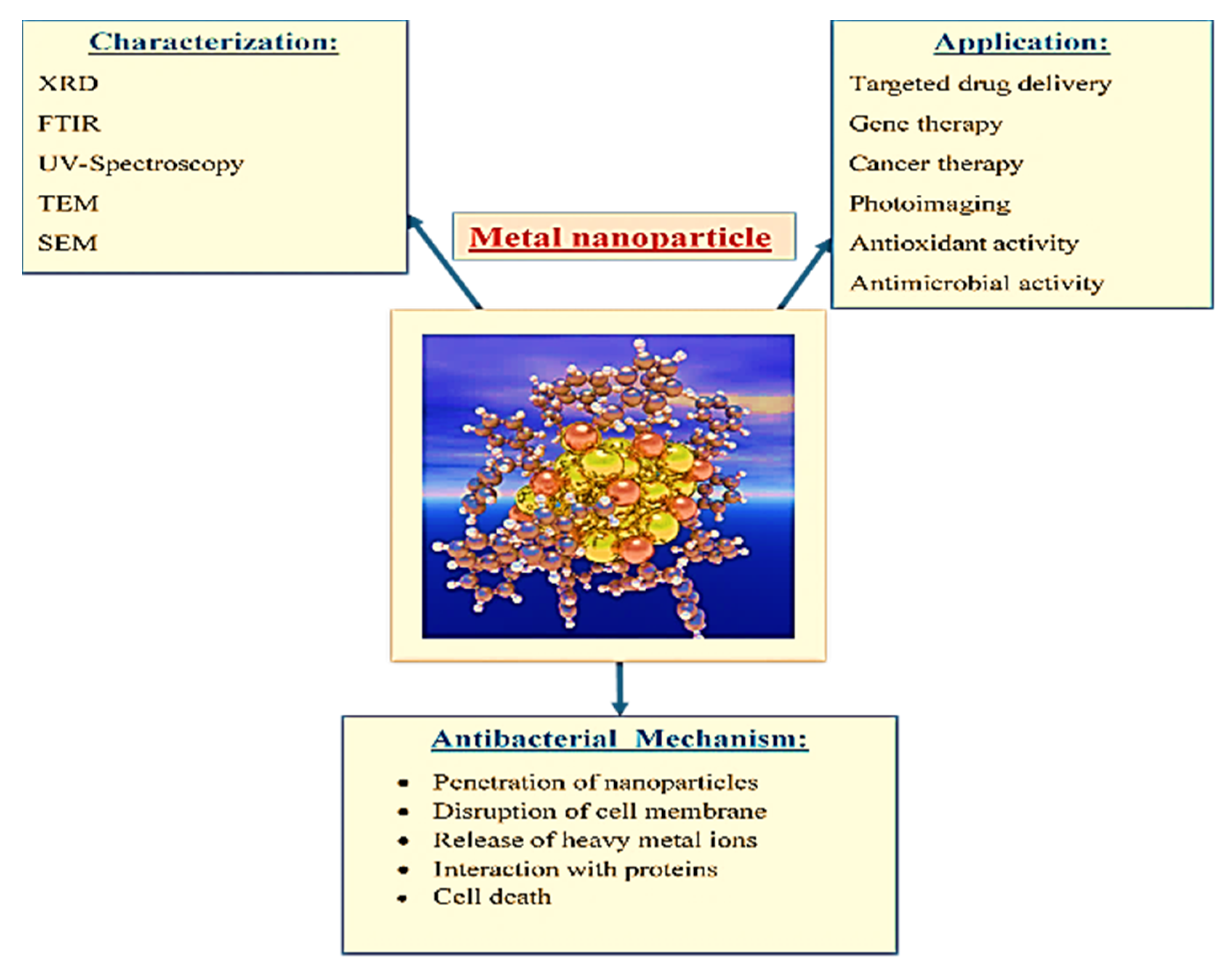 Ijms 22 09596 g003 550