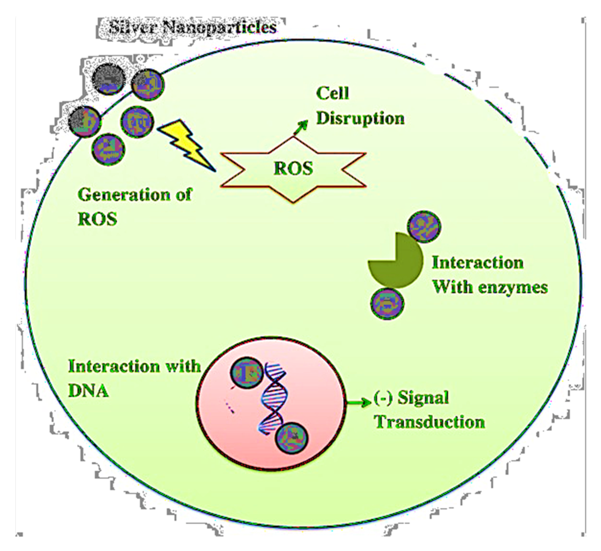 Ijms 22 09596 g005 550