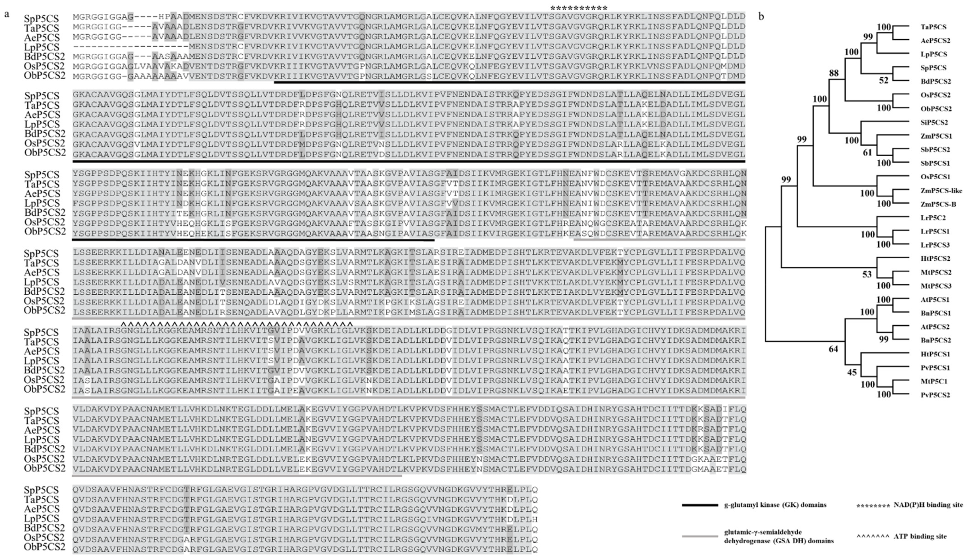 Ijms 22 09599 g001 550