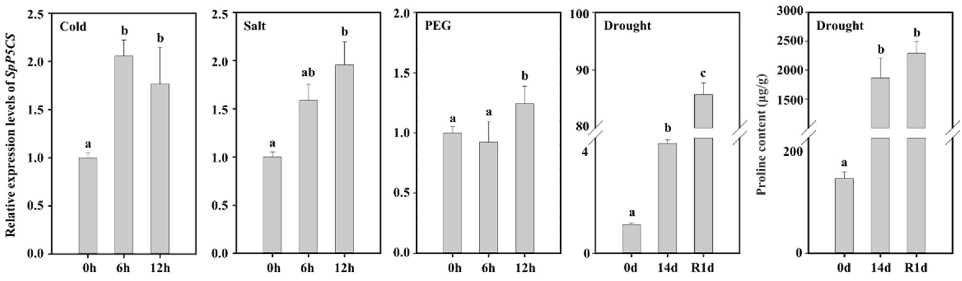 Ijms 22 09599 g002 550