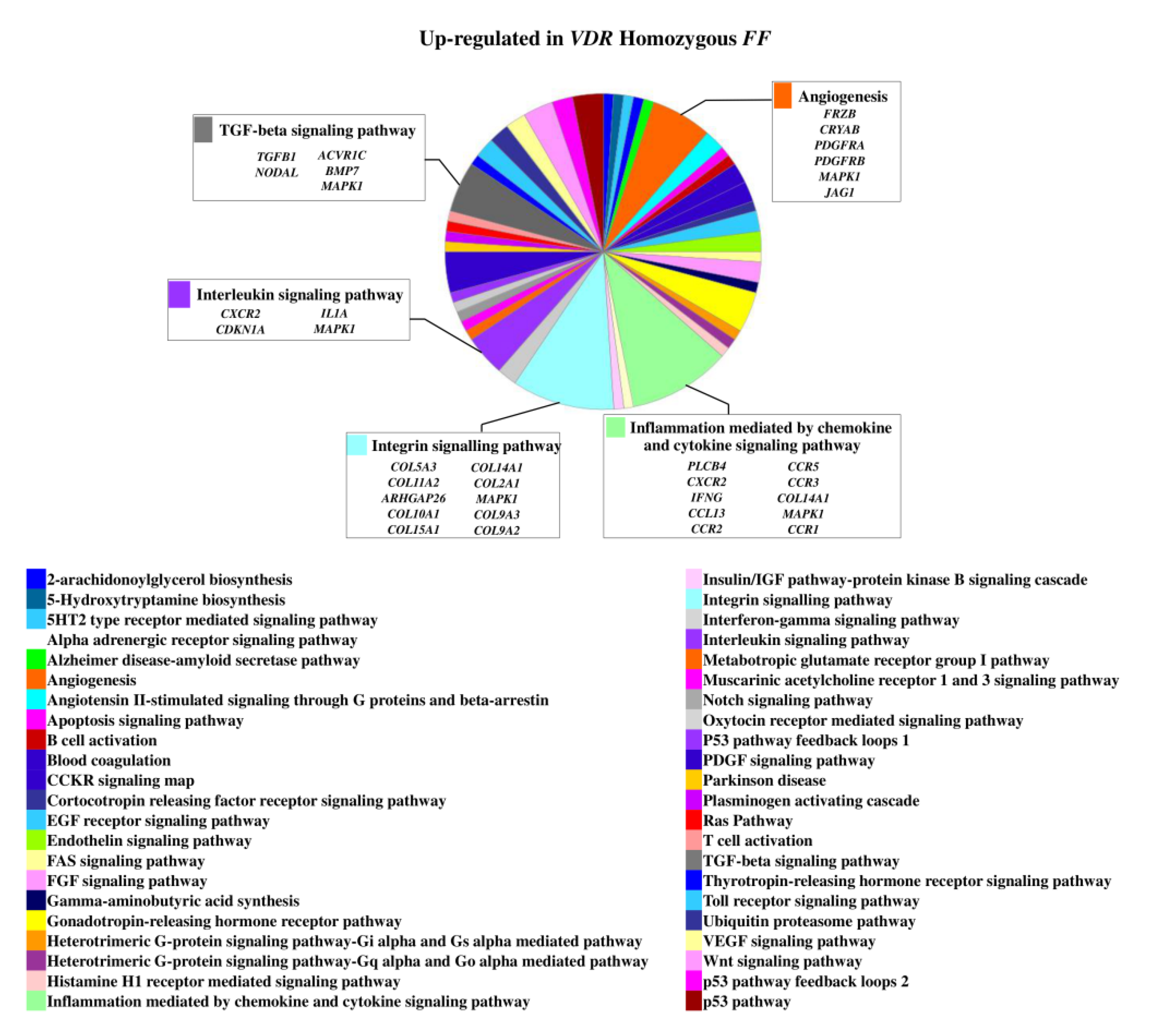 Ijms 22 09603 g001 550