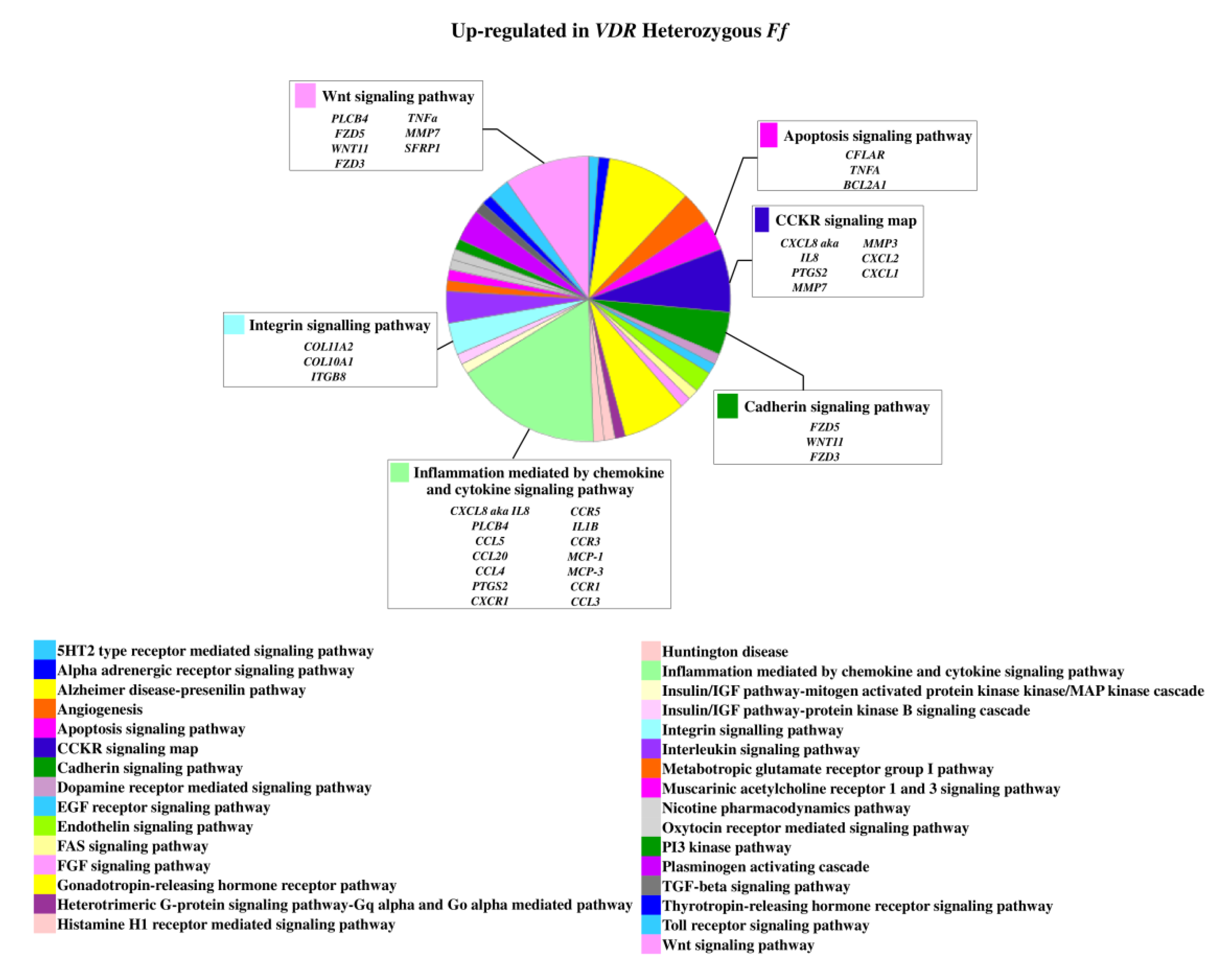 Ijms 22 09603 g003 550