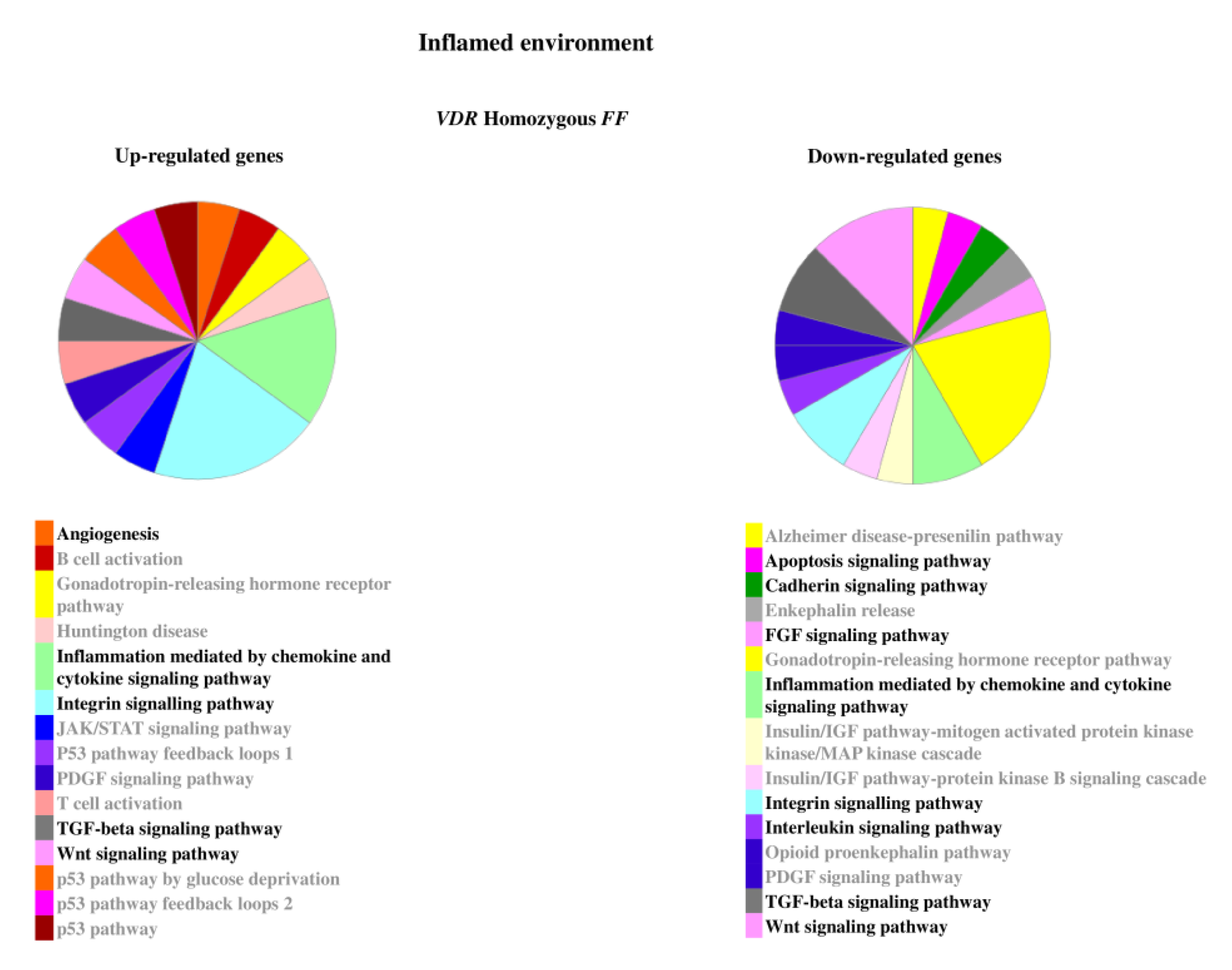 Ijms 22 09603 g005 550