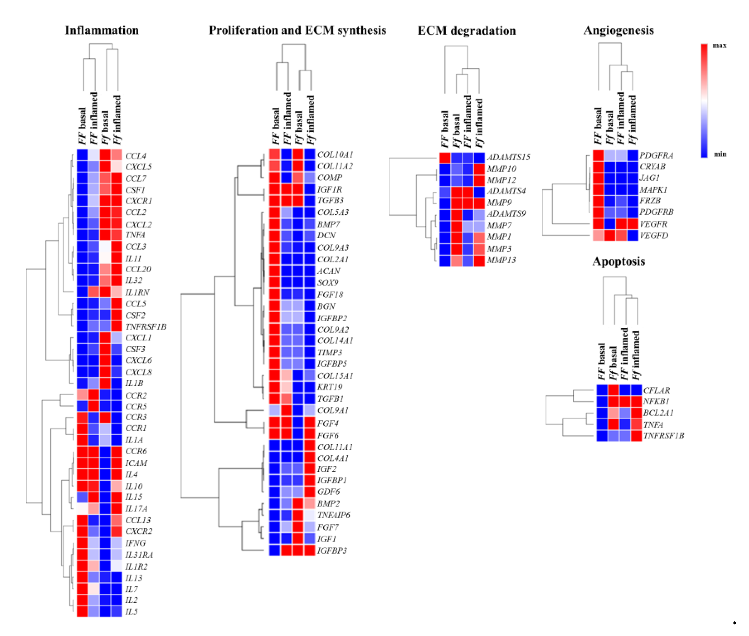 Ijms 22 09603 g007 550
