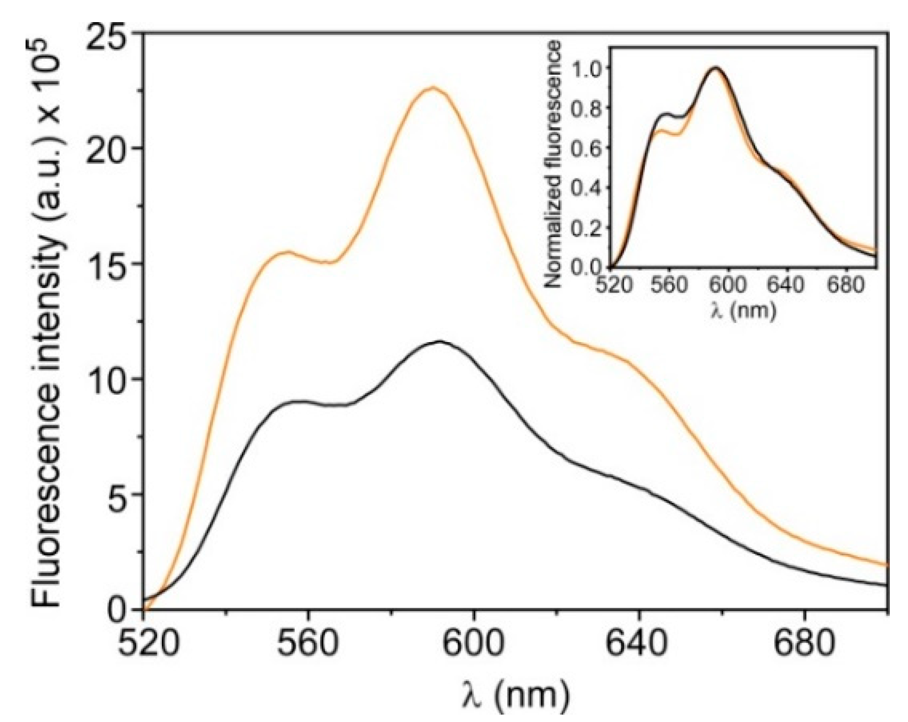 Ijms 22 09607 g011 550