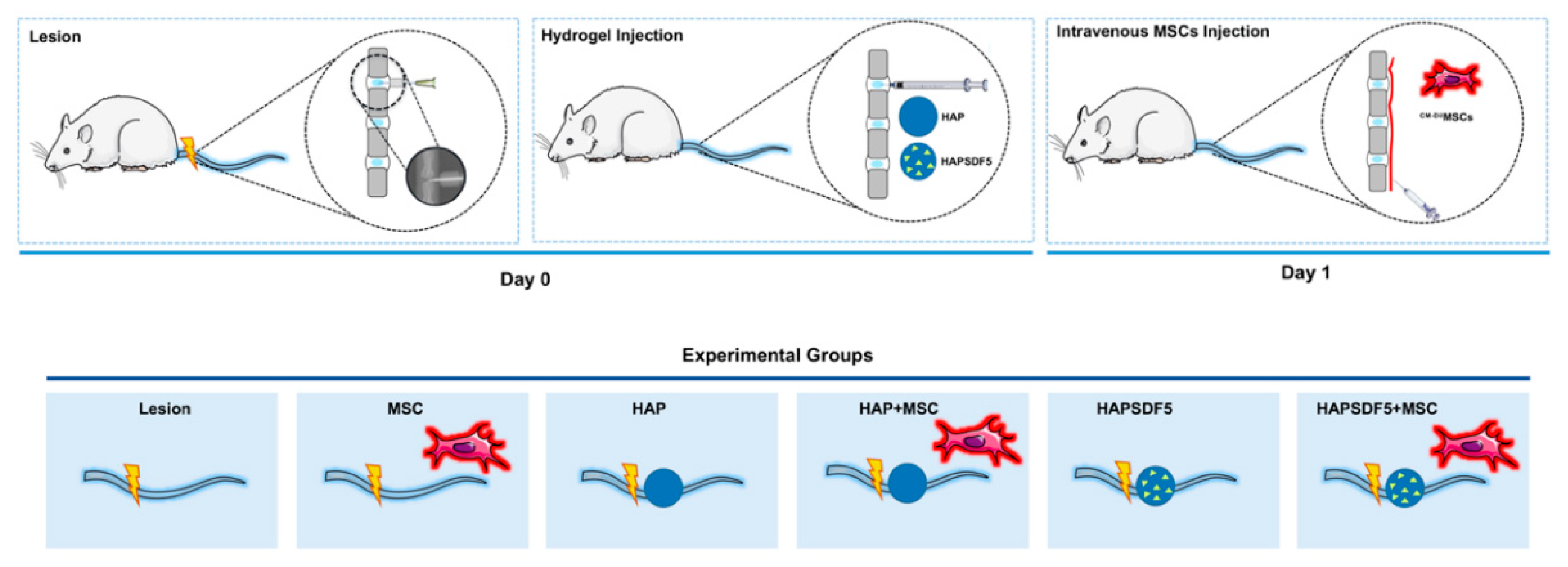 Ijms 22 09609 g001 550